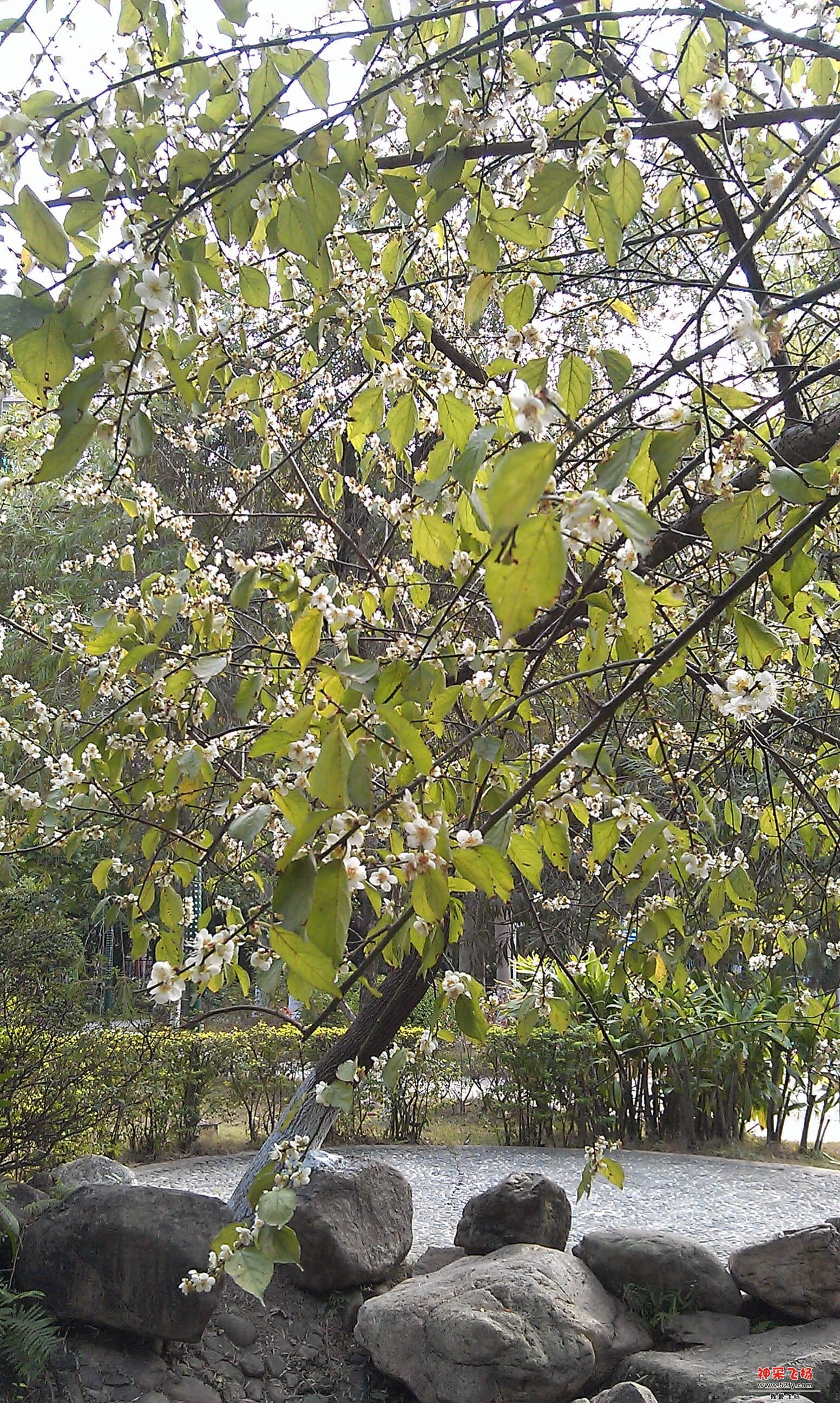IMAG0010.jpg