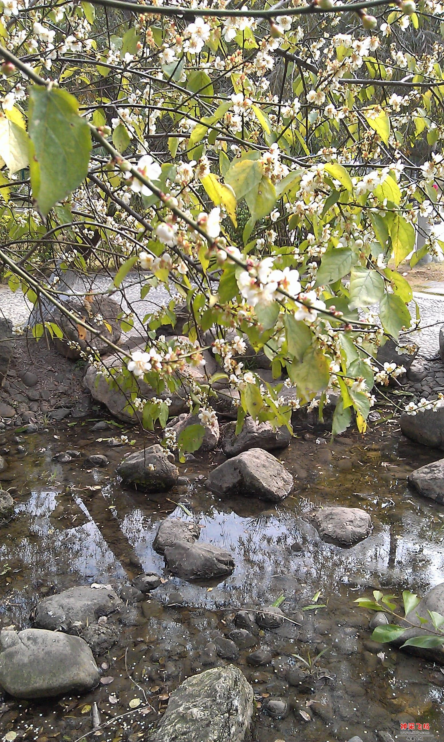 IMAG0014.jpg
