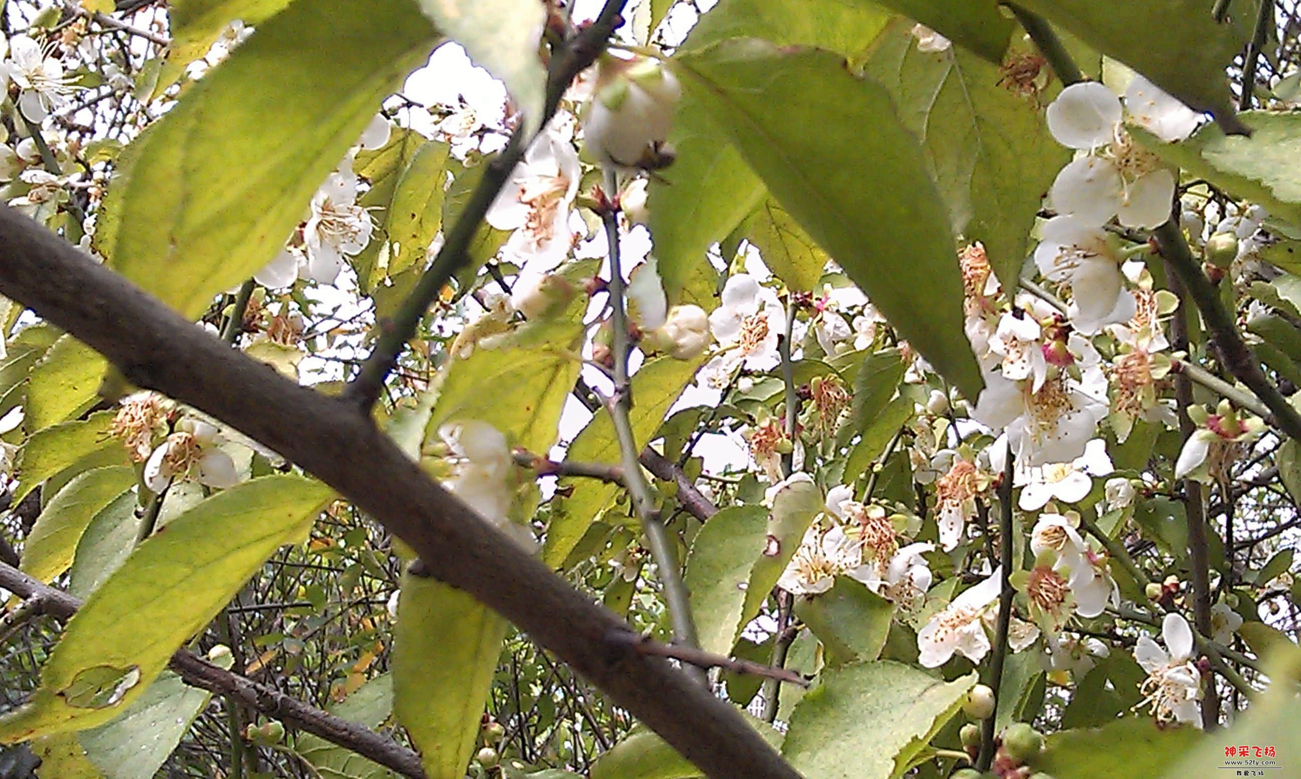 IMAG0015.jpg