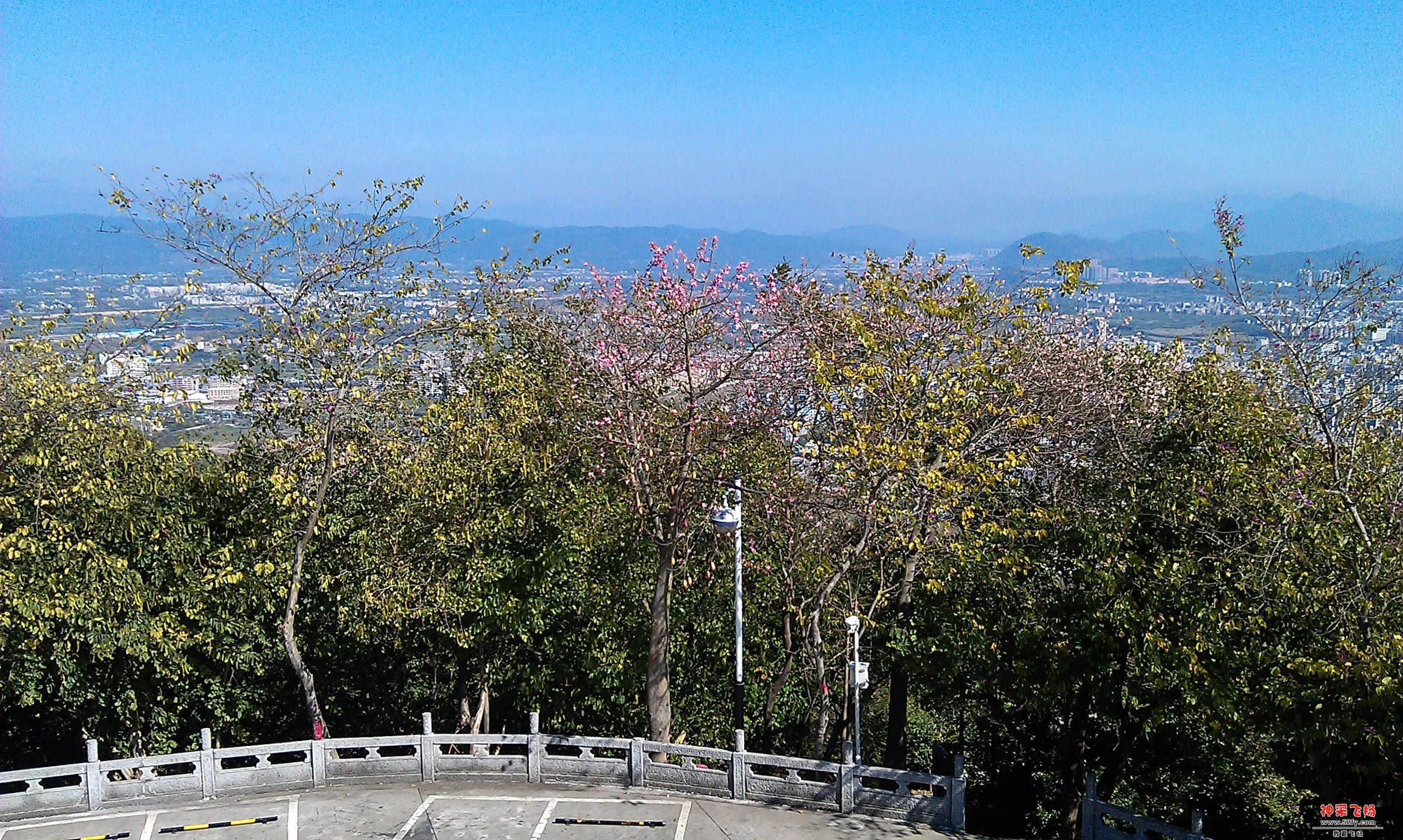 IMAG0060.jpg