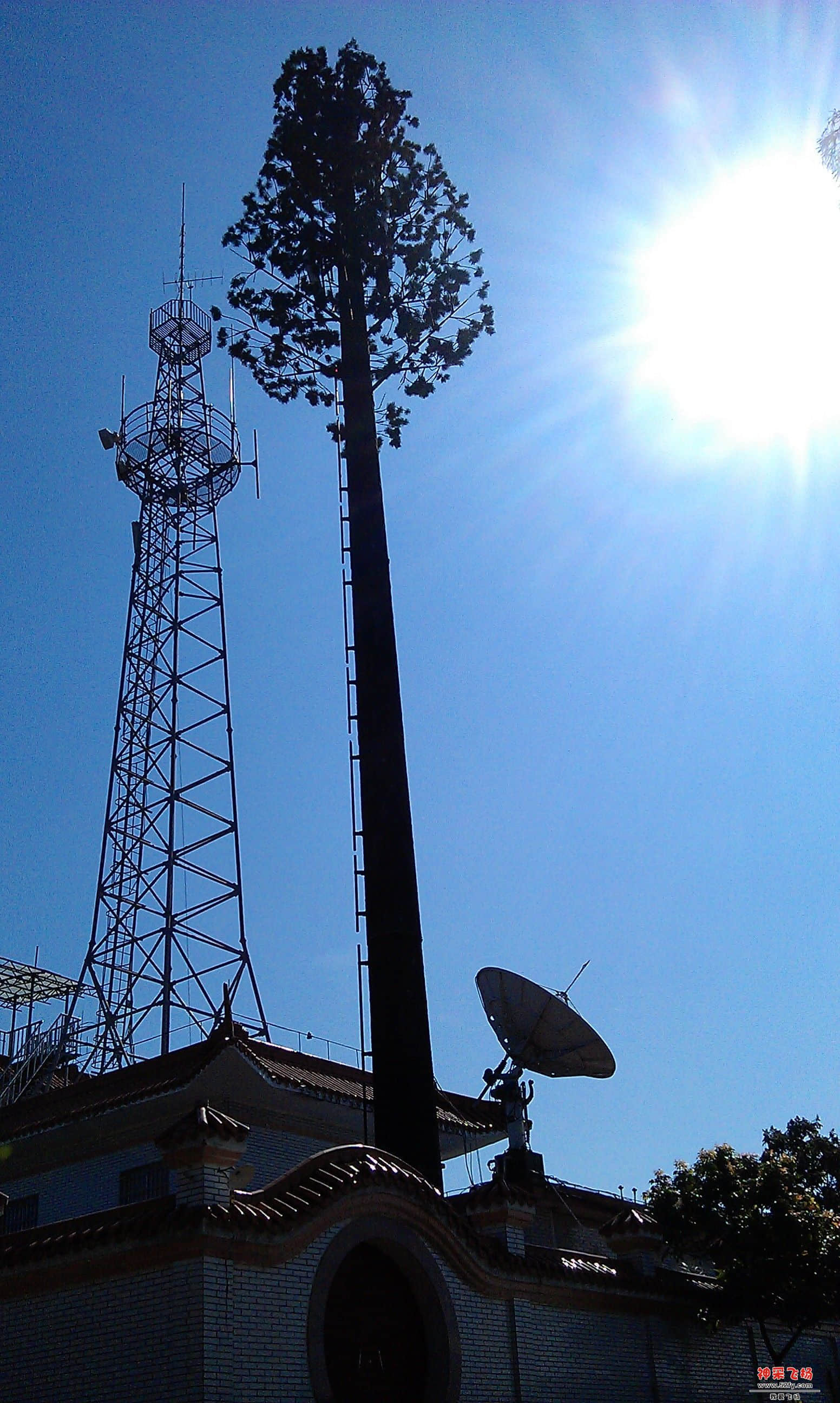 IMAG0071.jpg