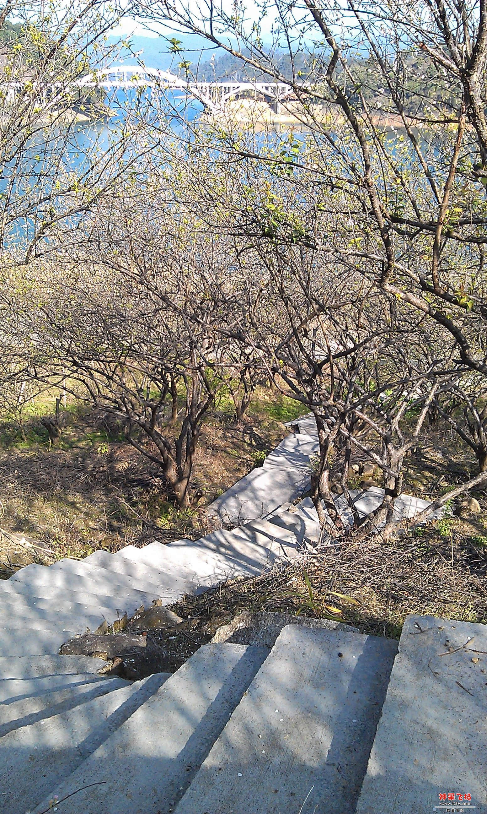 IMAG0053.jpg