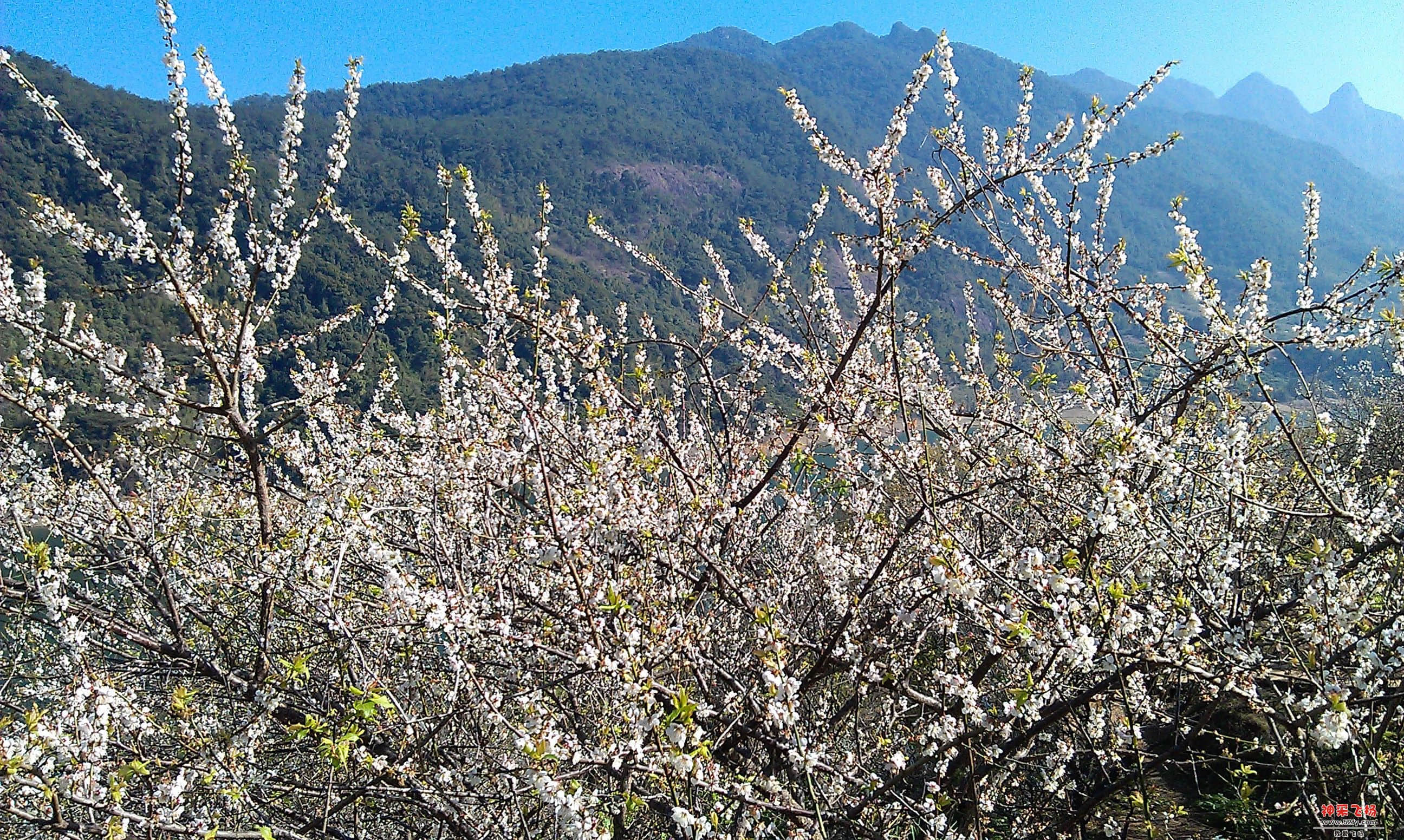 IMAG0063.jpg