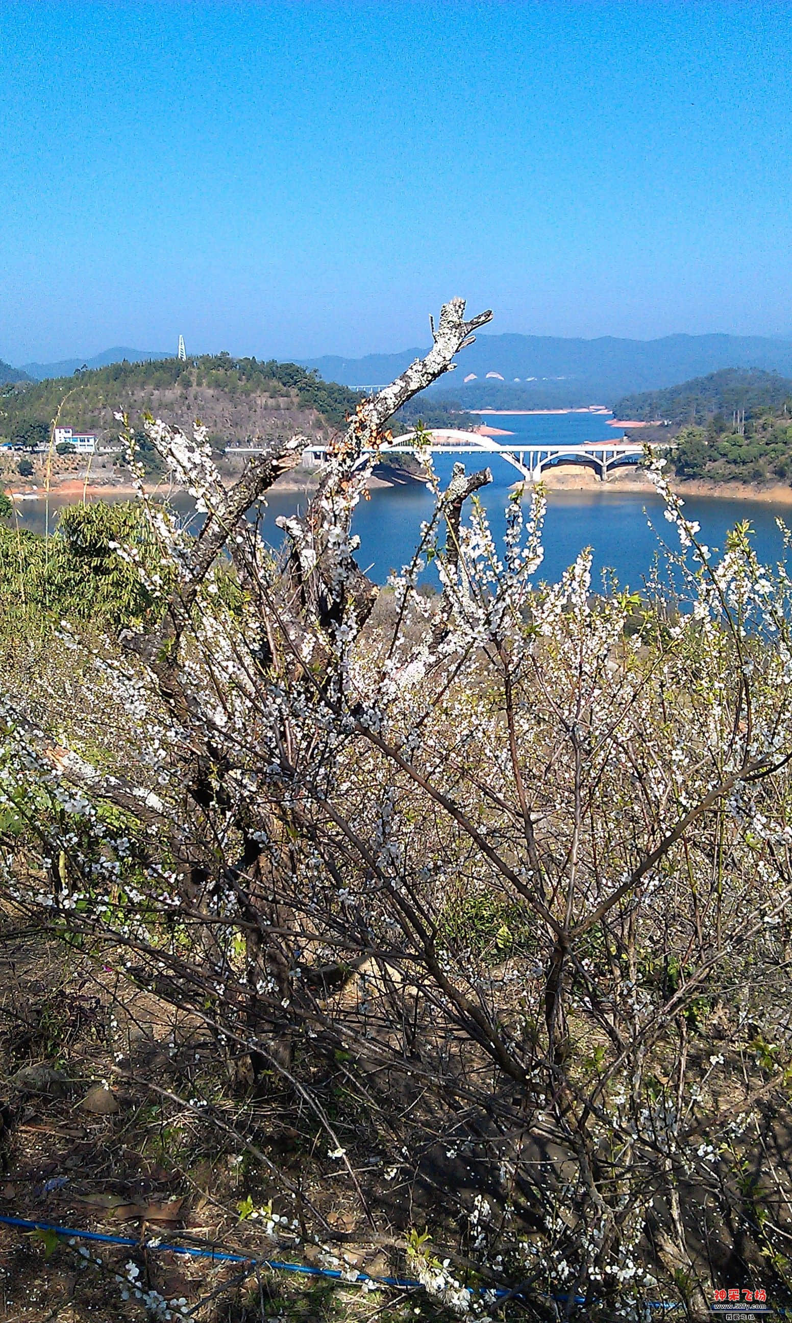 IMAG0064.jpg