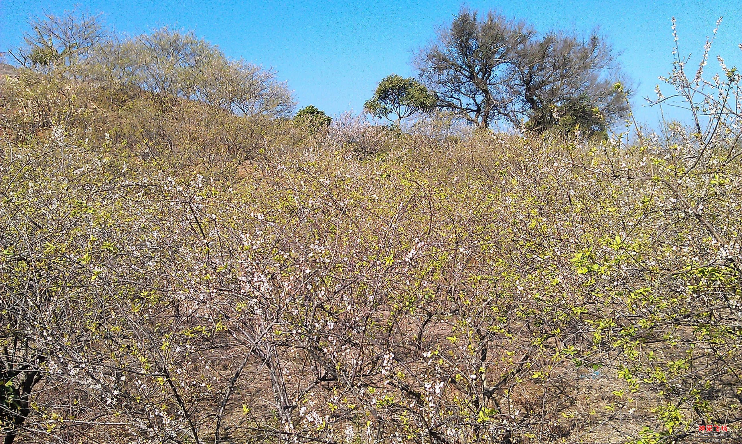 IMAG0070.jpg