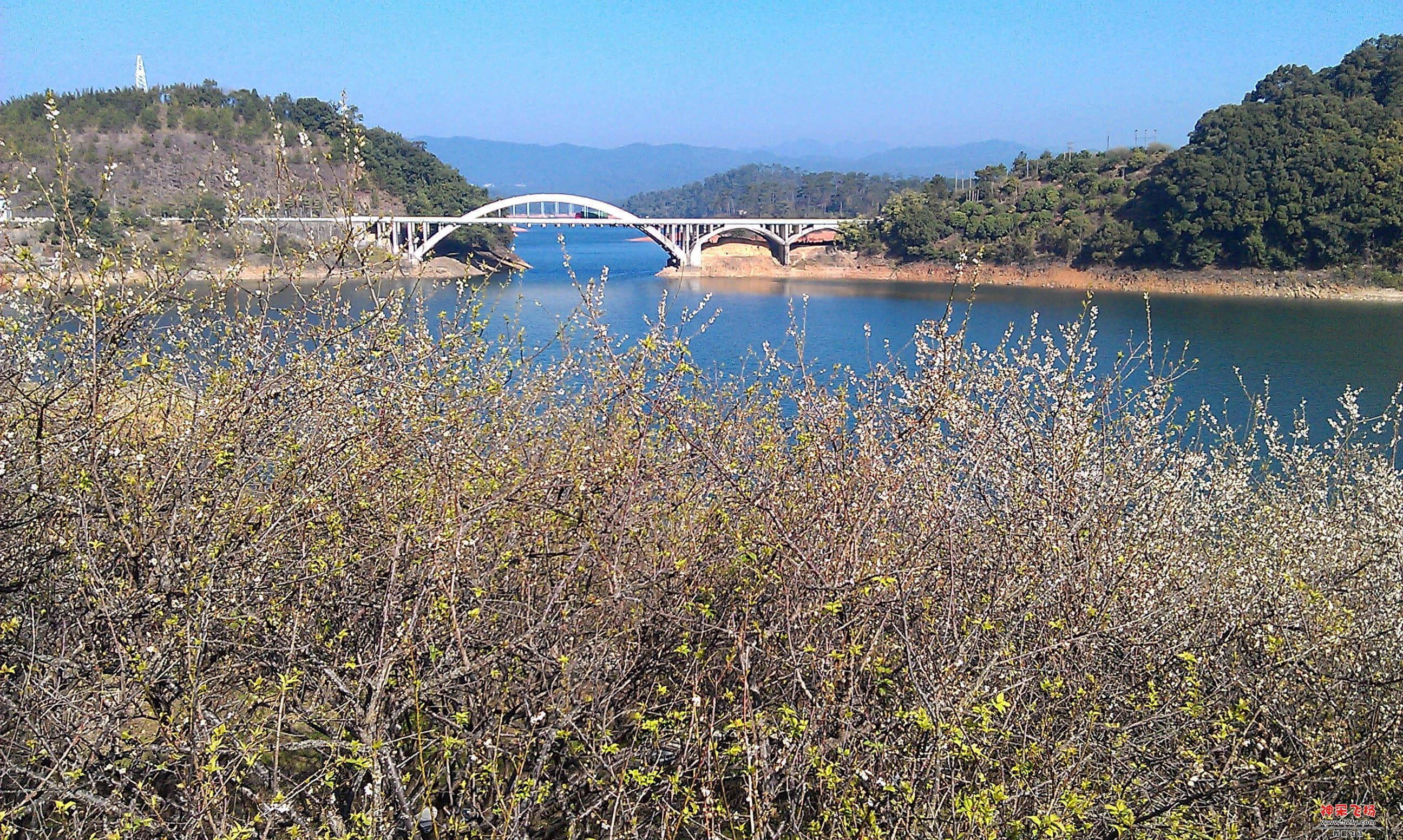 彩虹桥.jpg