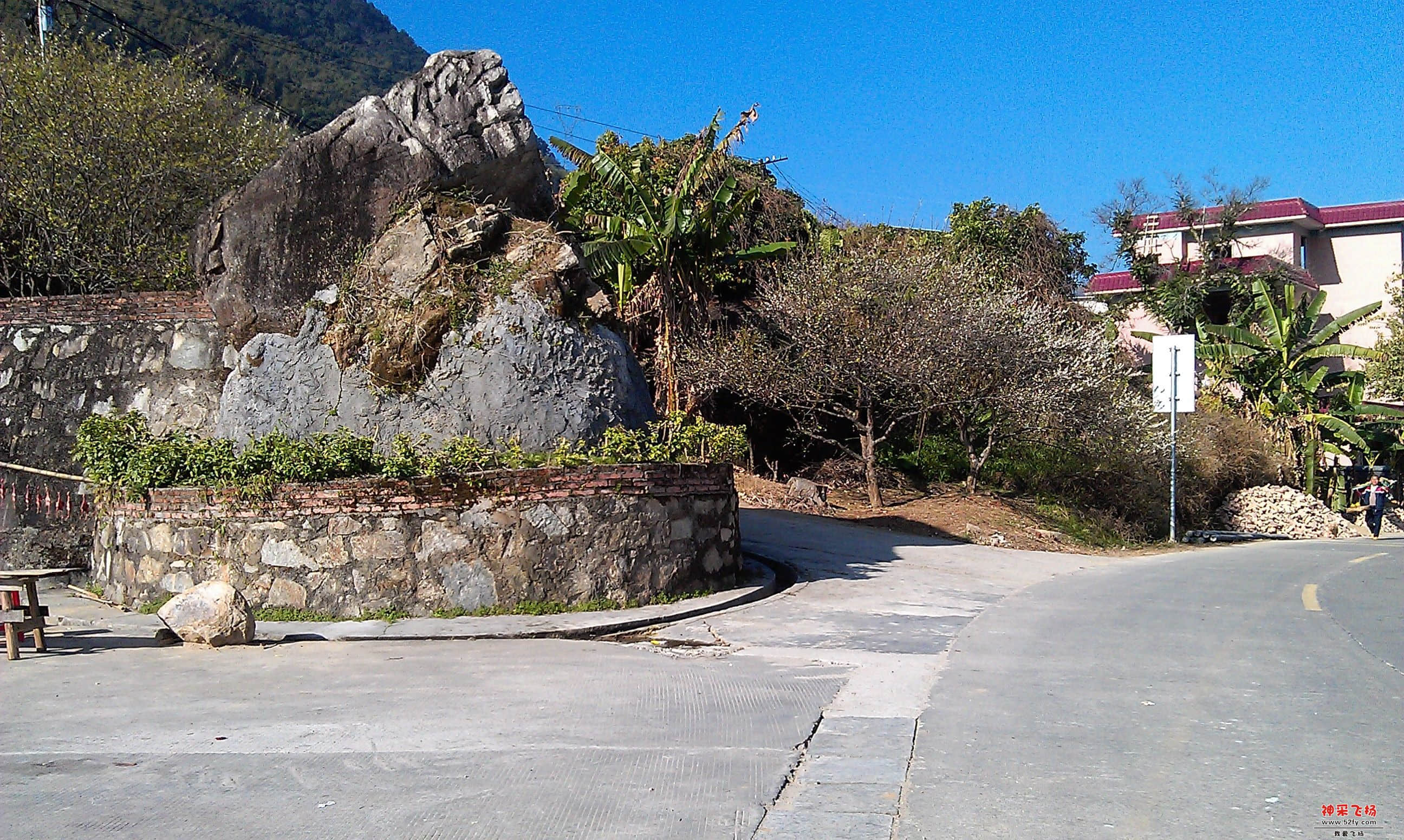 IMAG0017.jpg