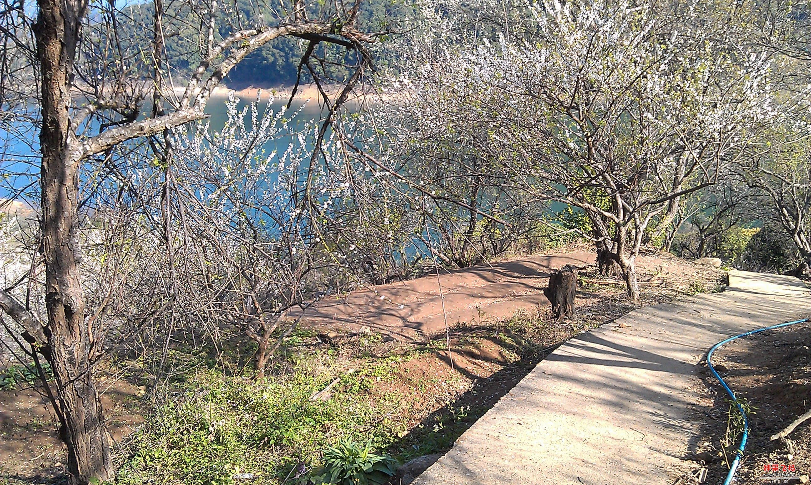 IMAG0029.jpg