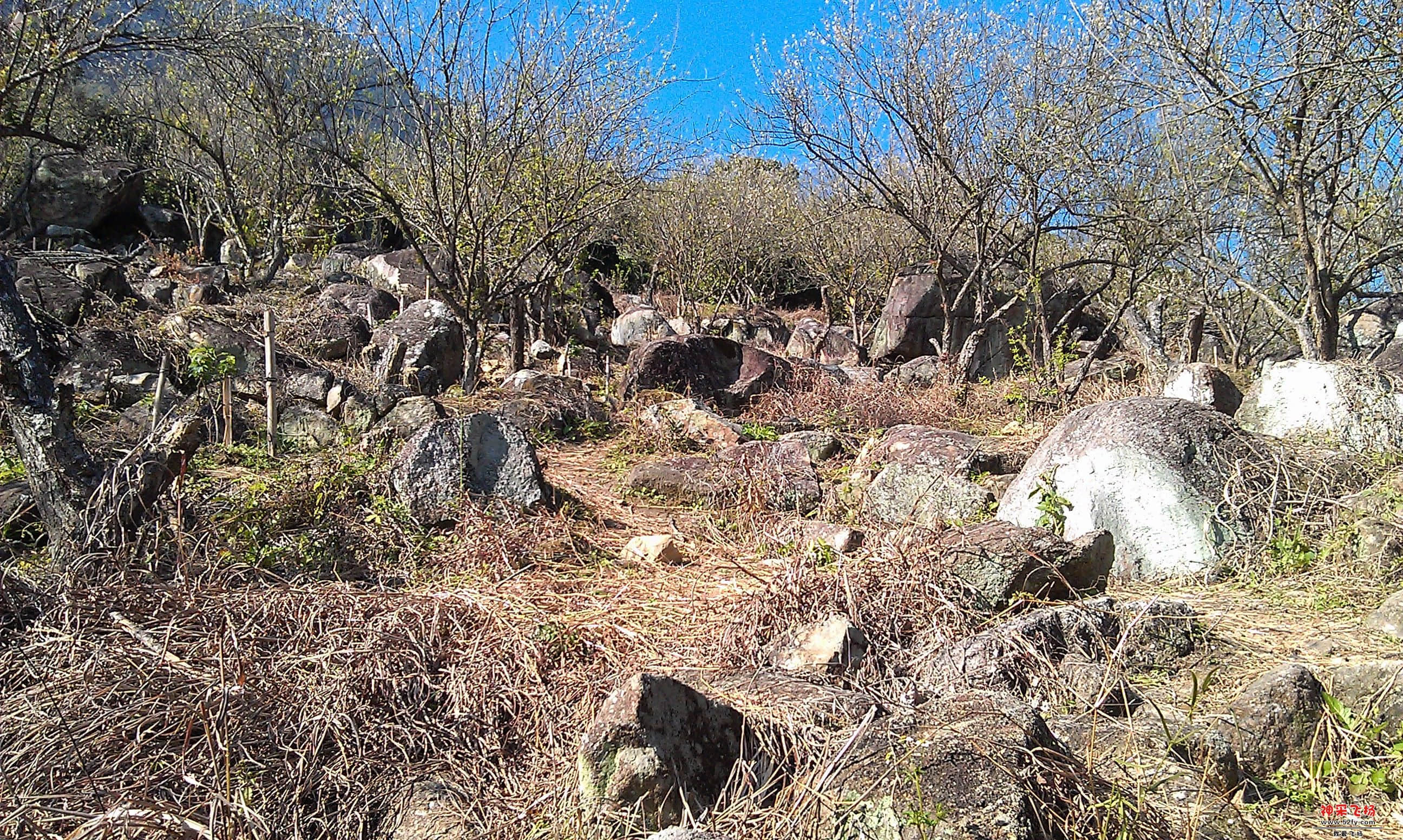 IMAG0043.jpg