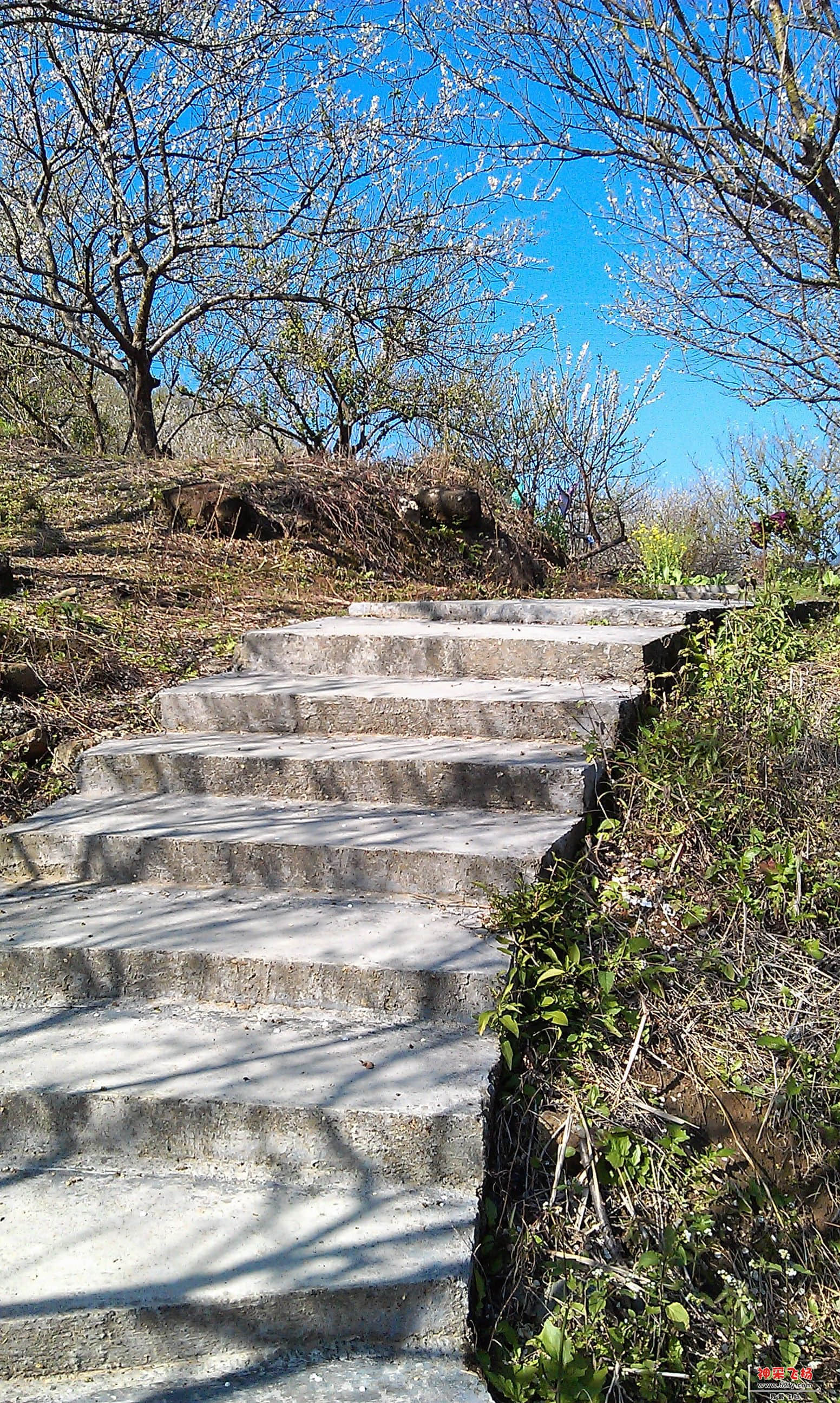 IMAG0045.jpg