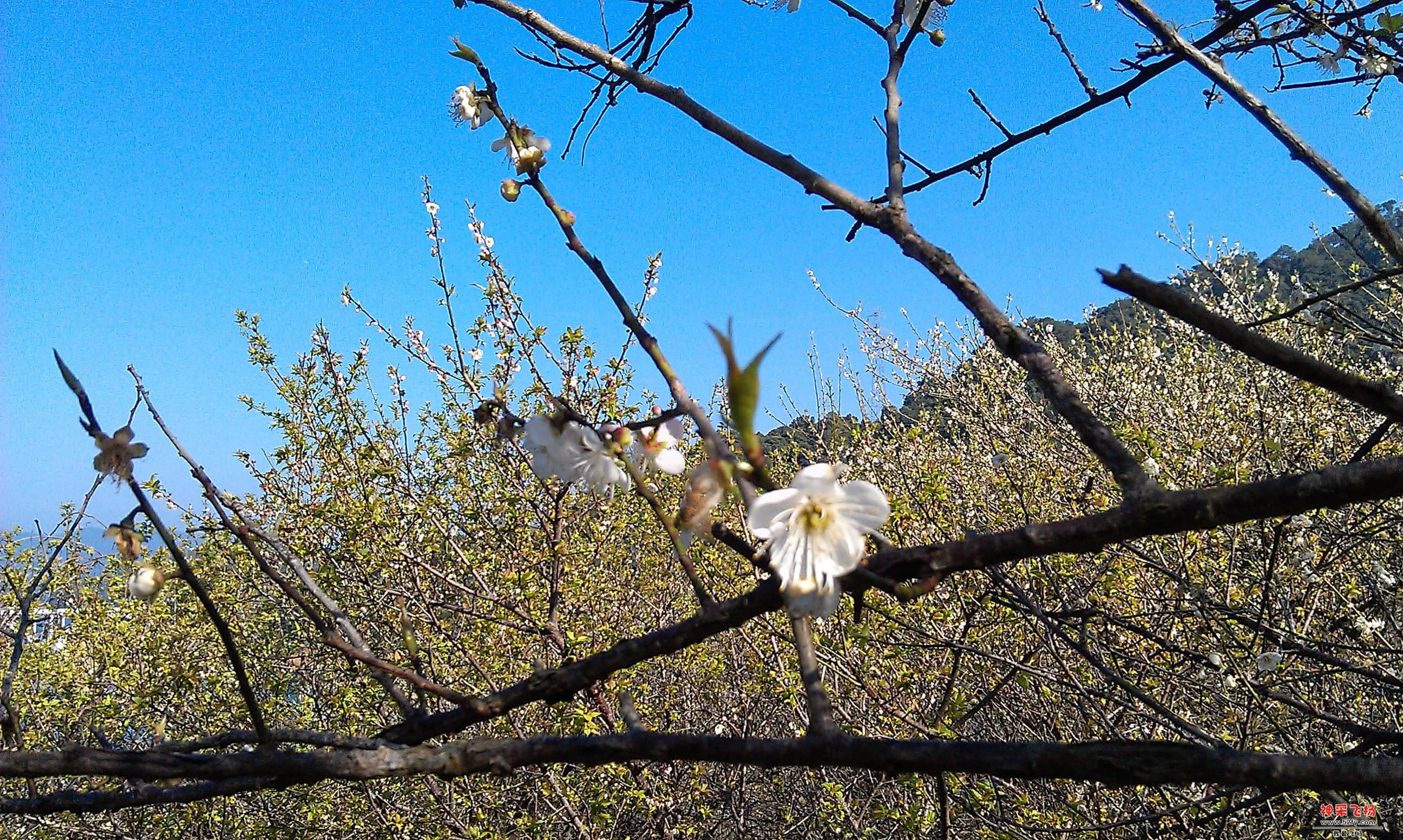 IMAG0049.jpg