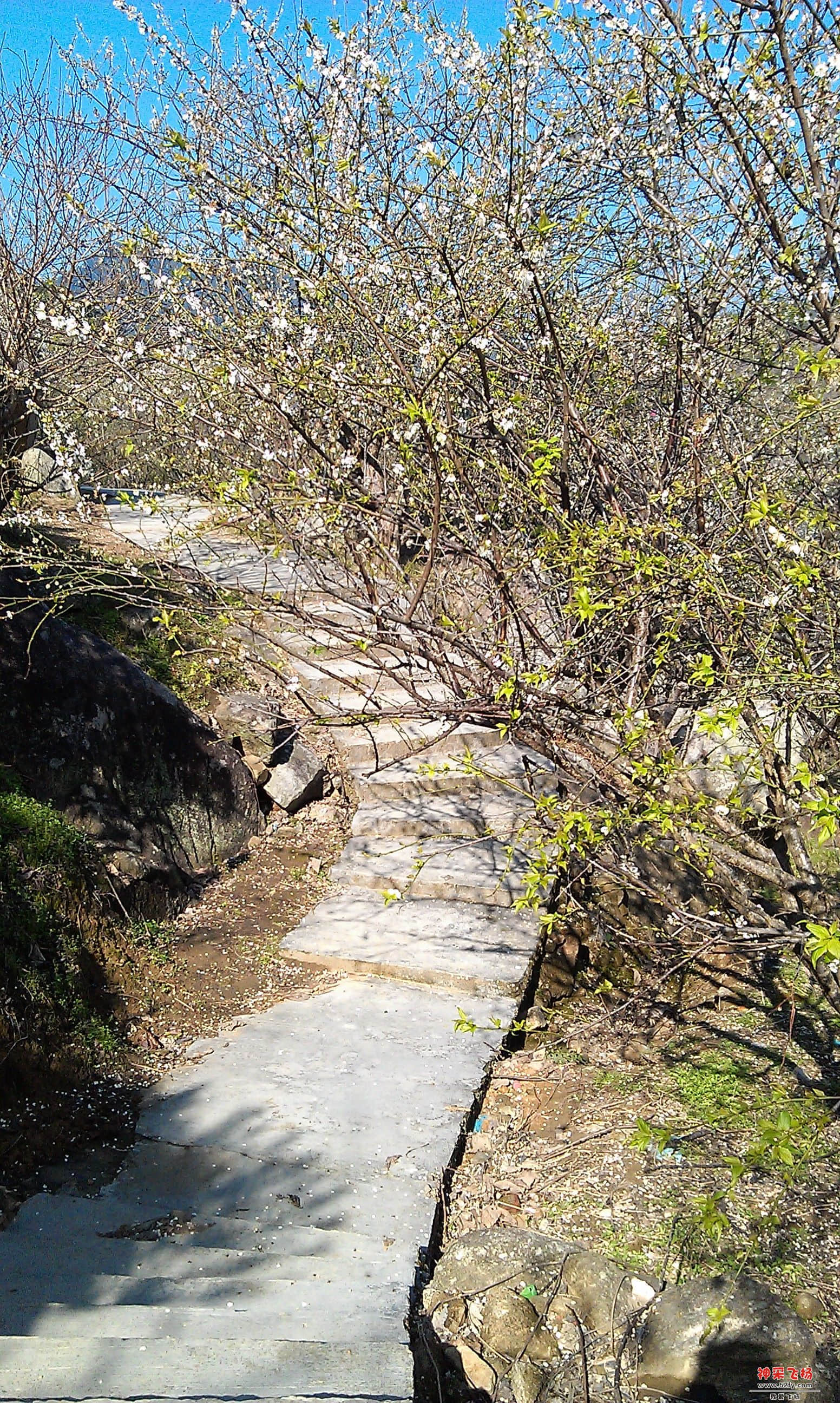 IMAG0050.jpg