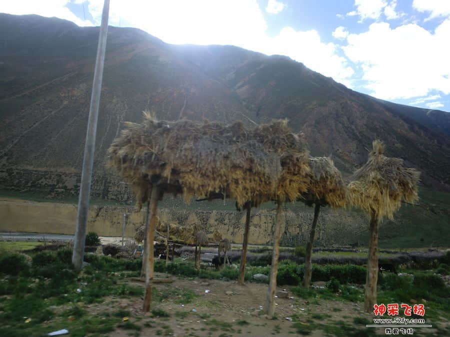 CIMG6393_副本.jpg