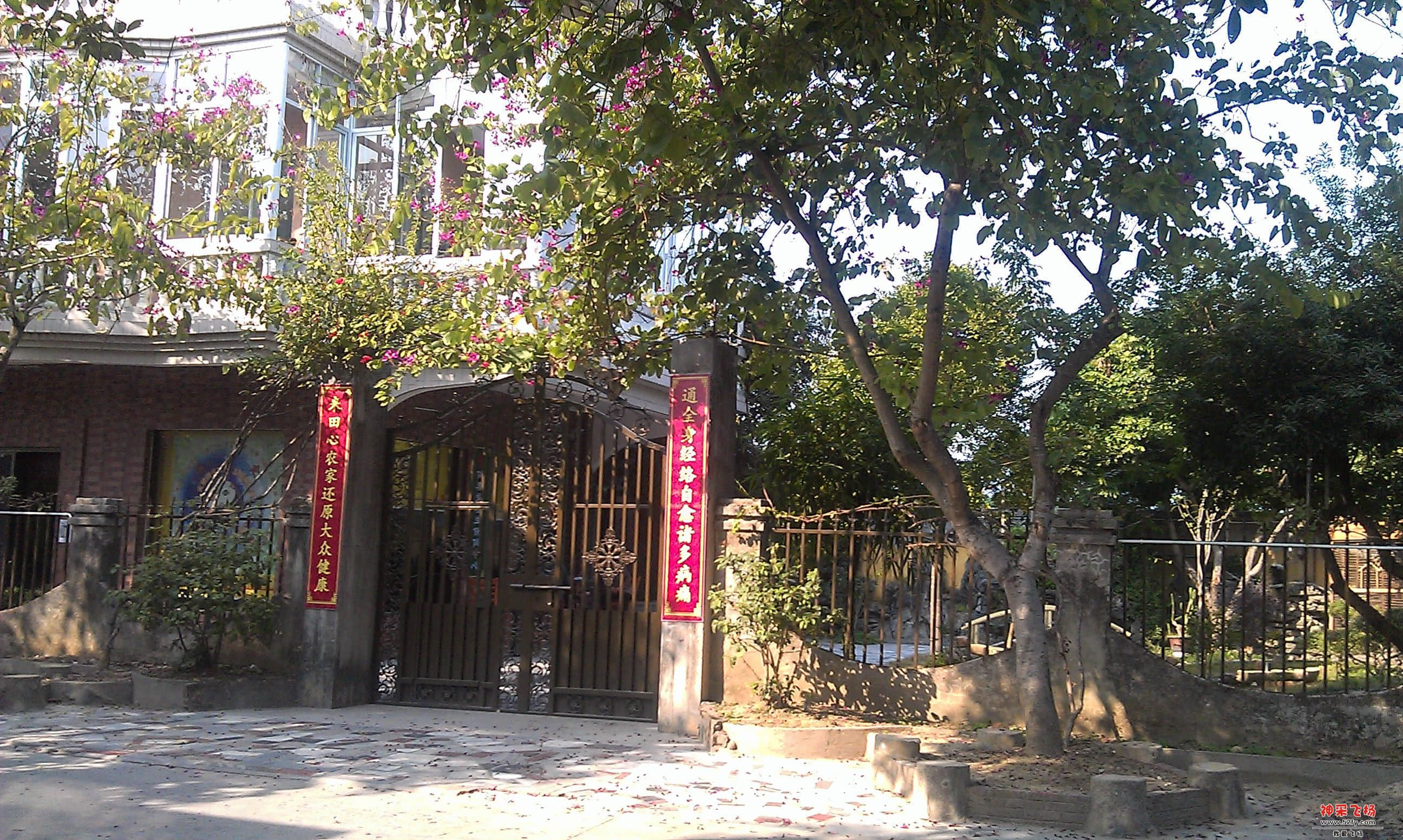 IMAG0145.jpg