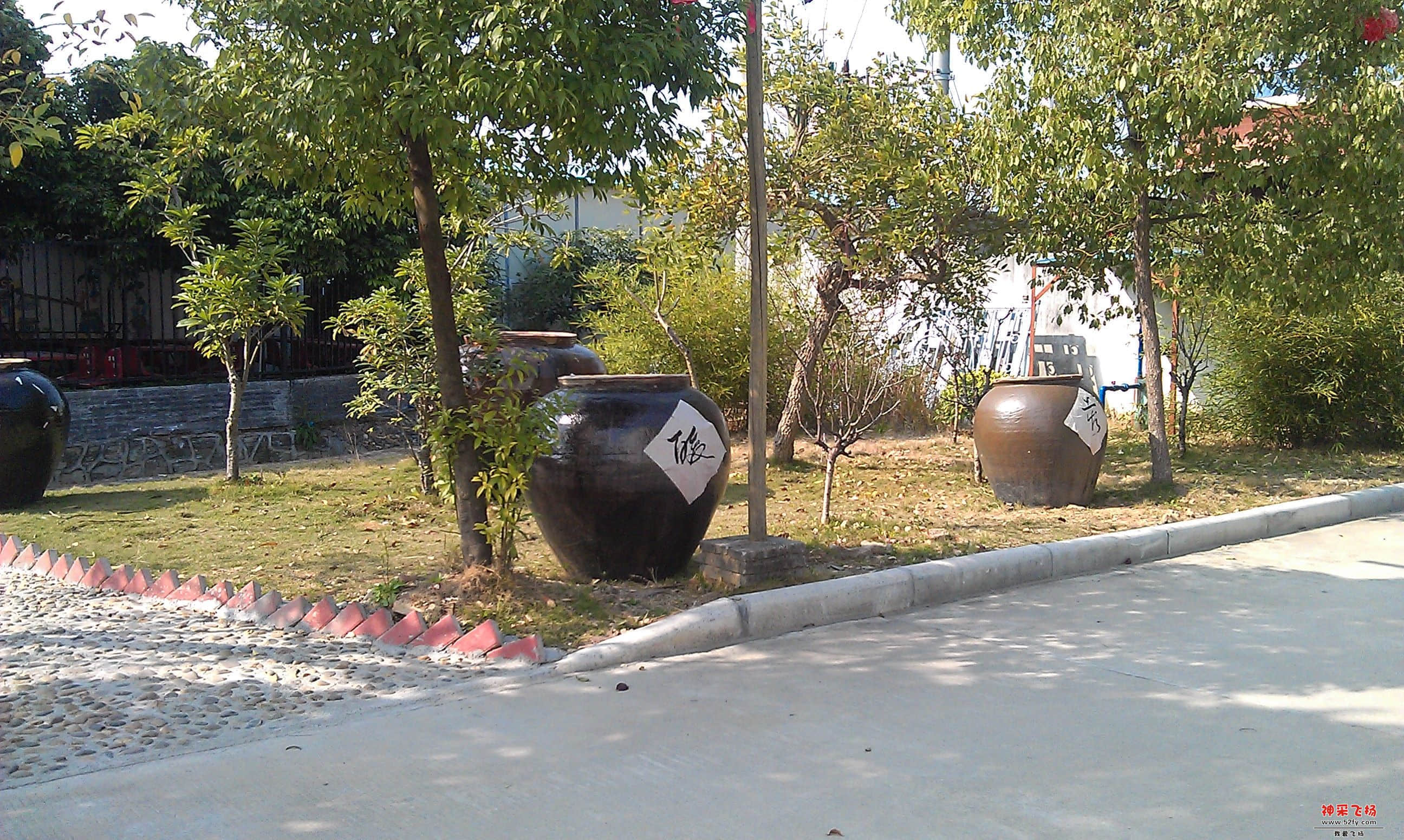 IMAG0115.jpg