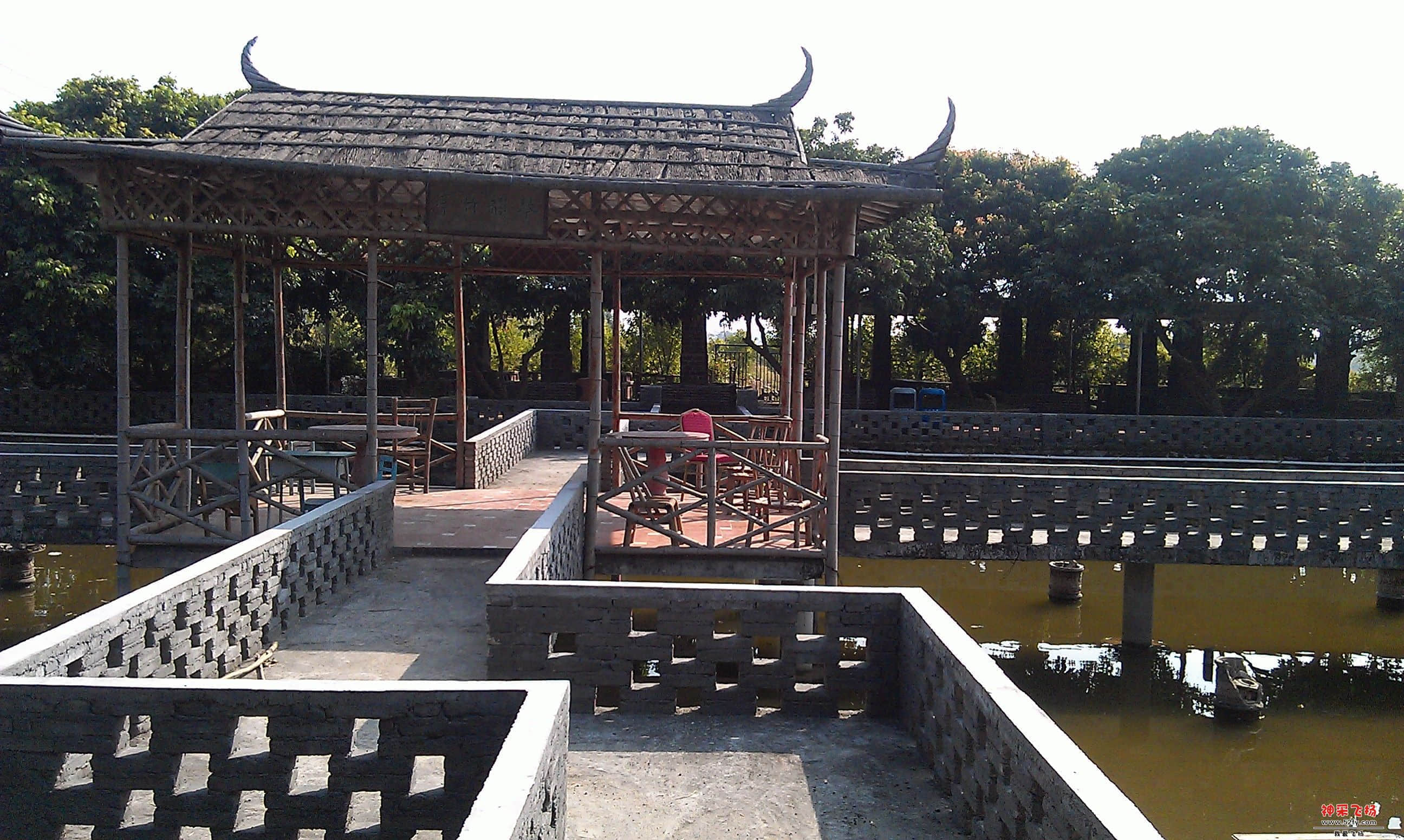 IMAG0120.jpg