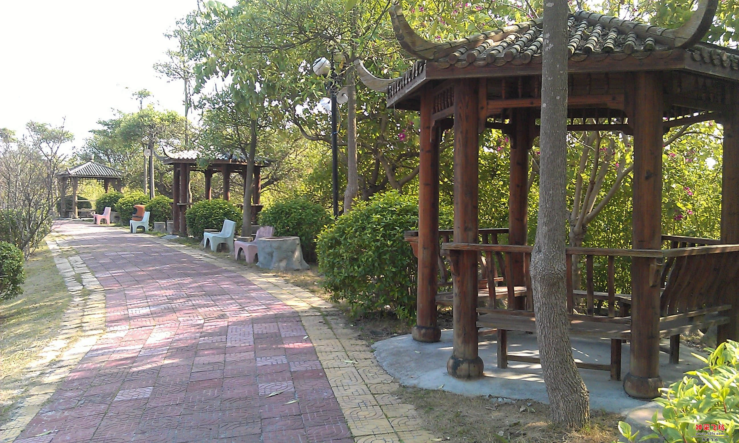 IMAG0128.jpg