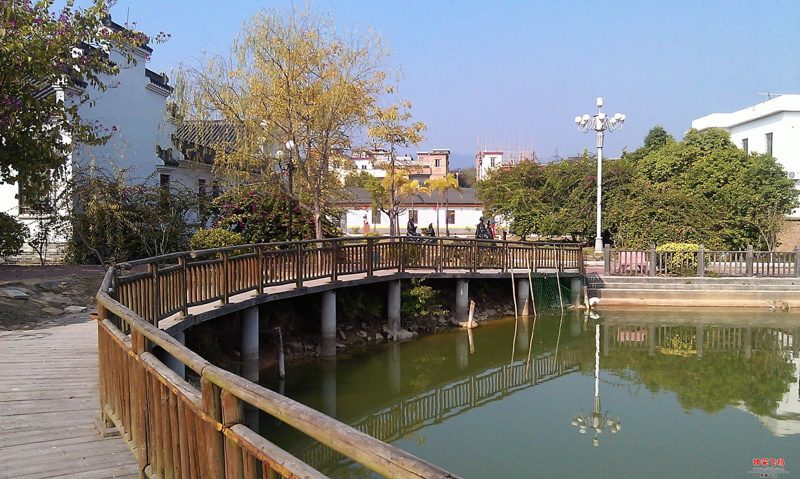 IMAG0129.jpg