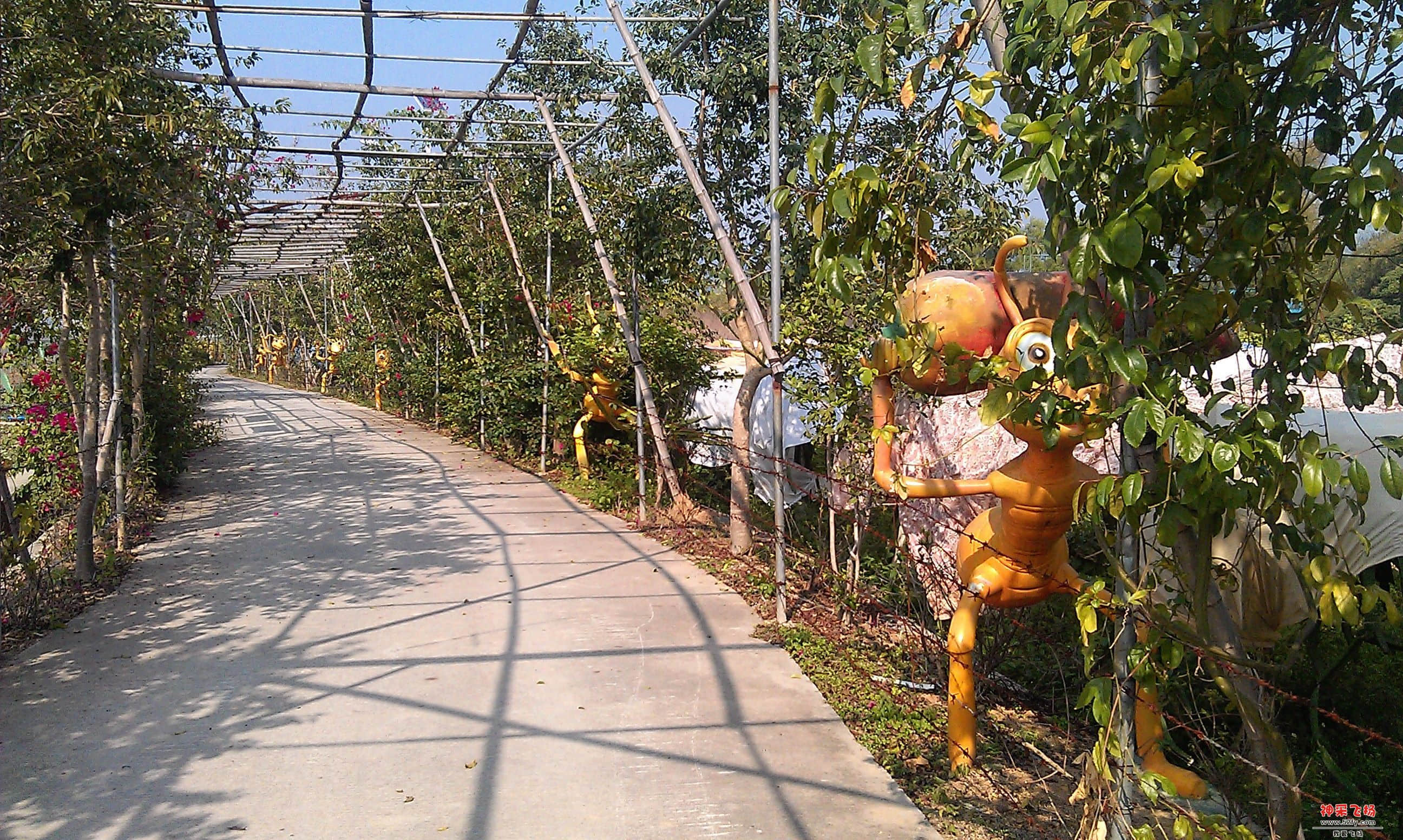 IMAG0102.jpg