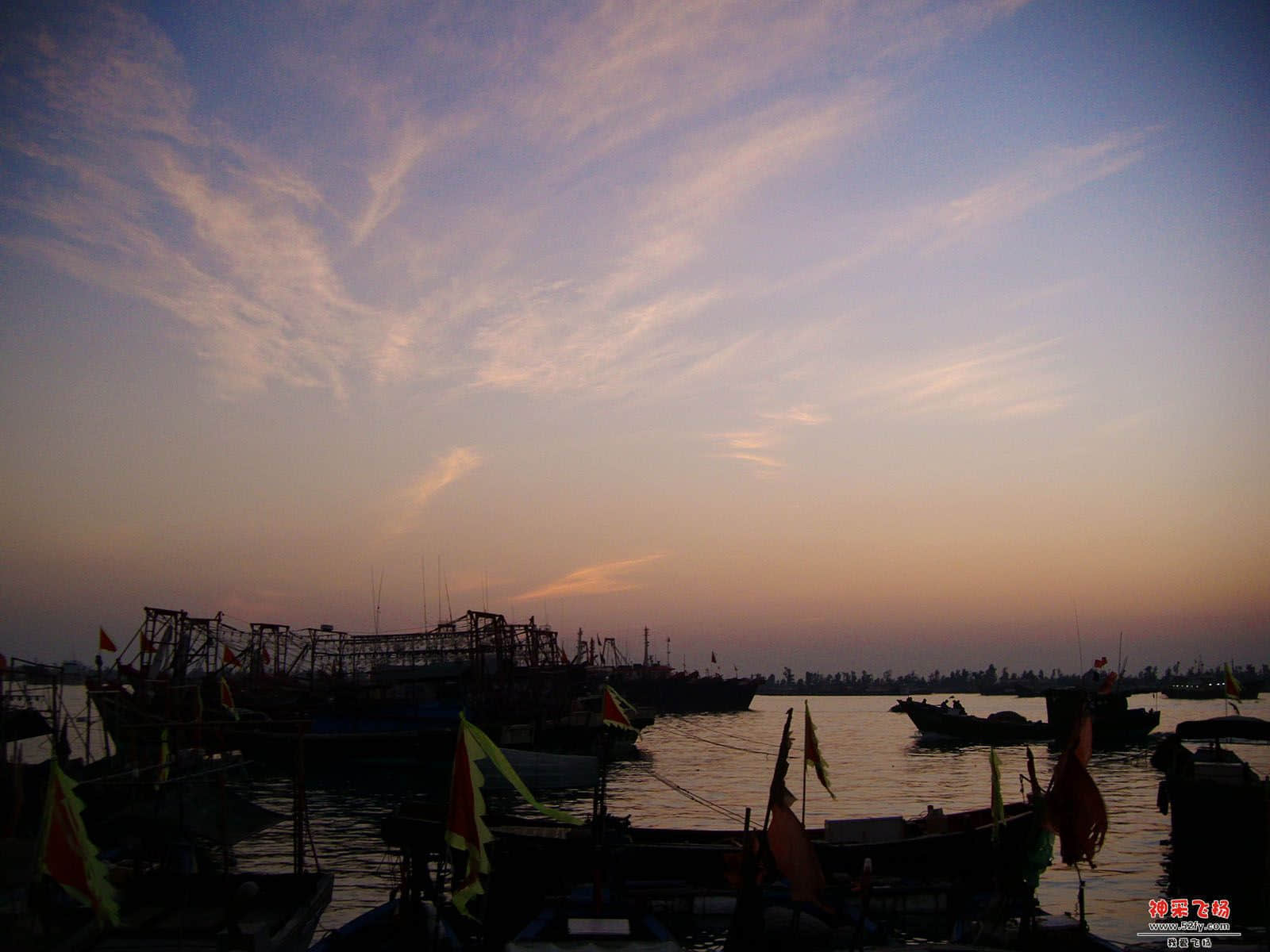 DSCF9204.jpg