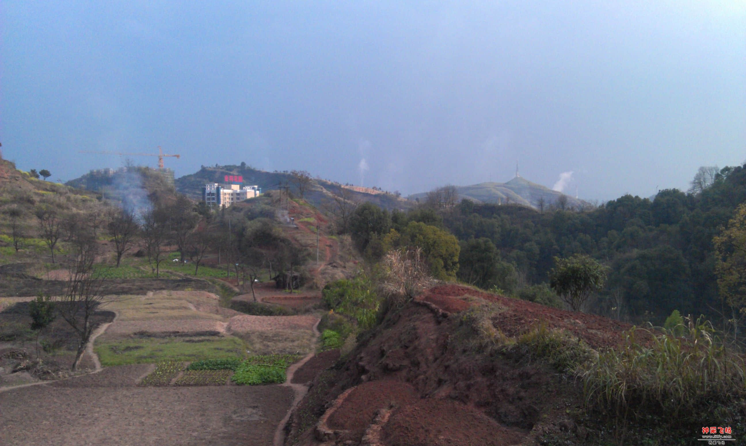 IMAG0262.jpg