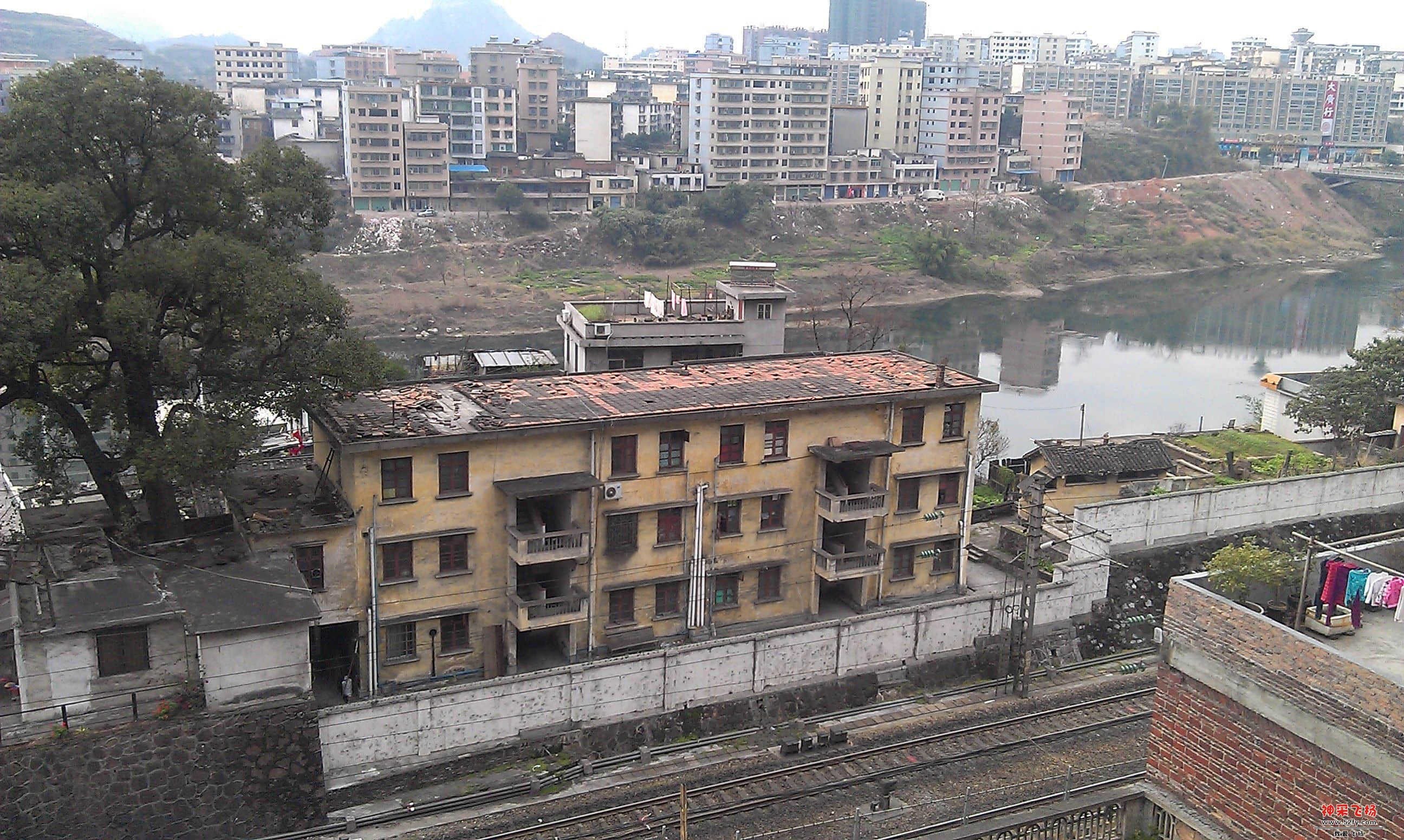 IMAG0251.jpg