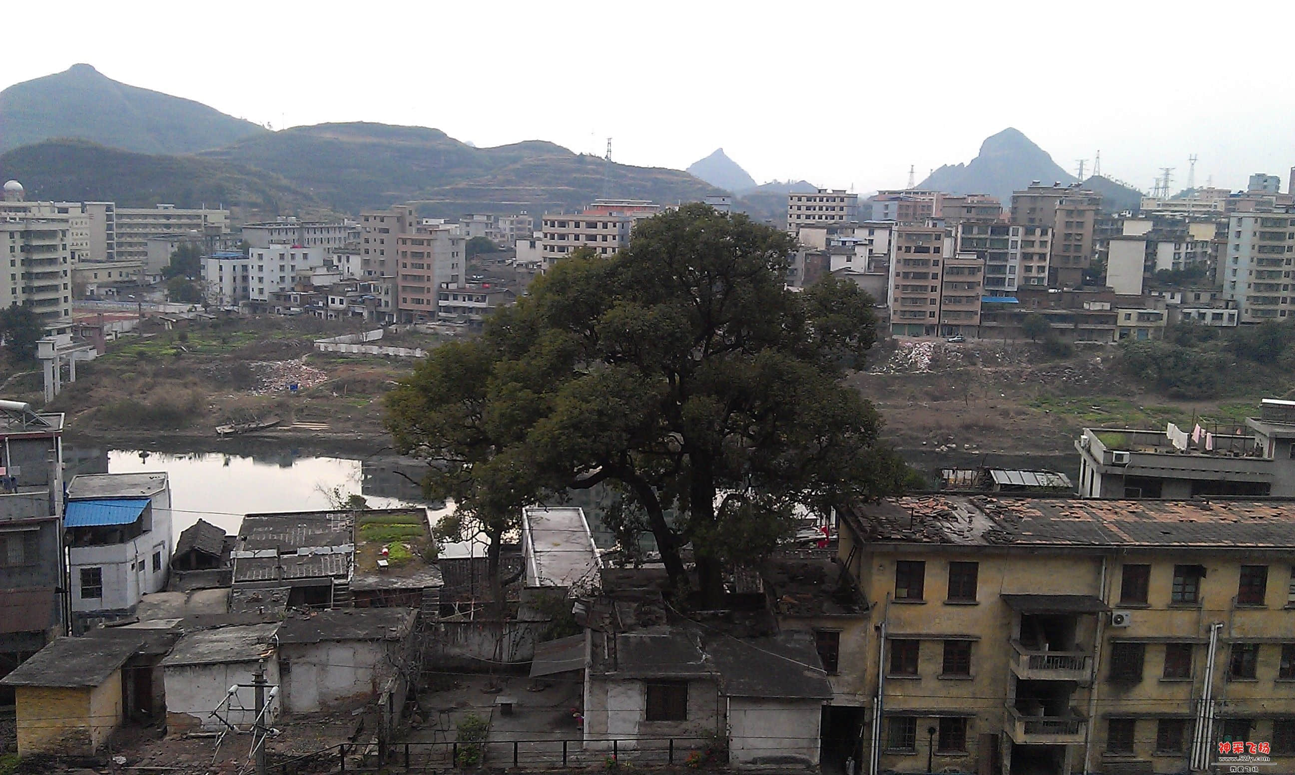 IMAG0252.jpg