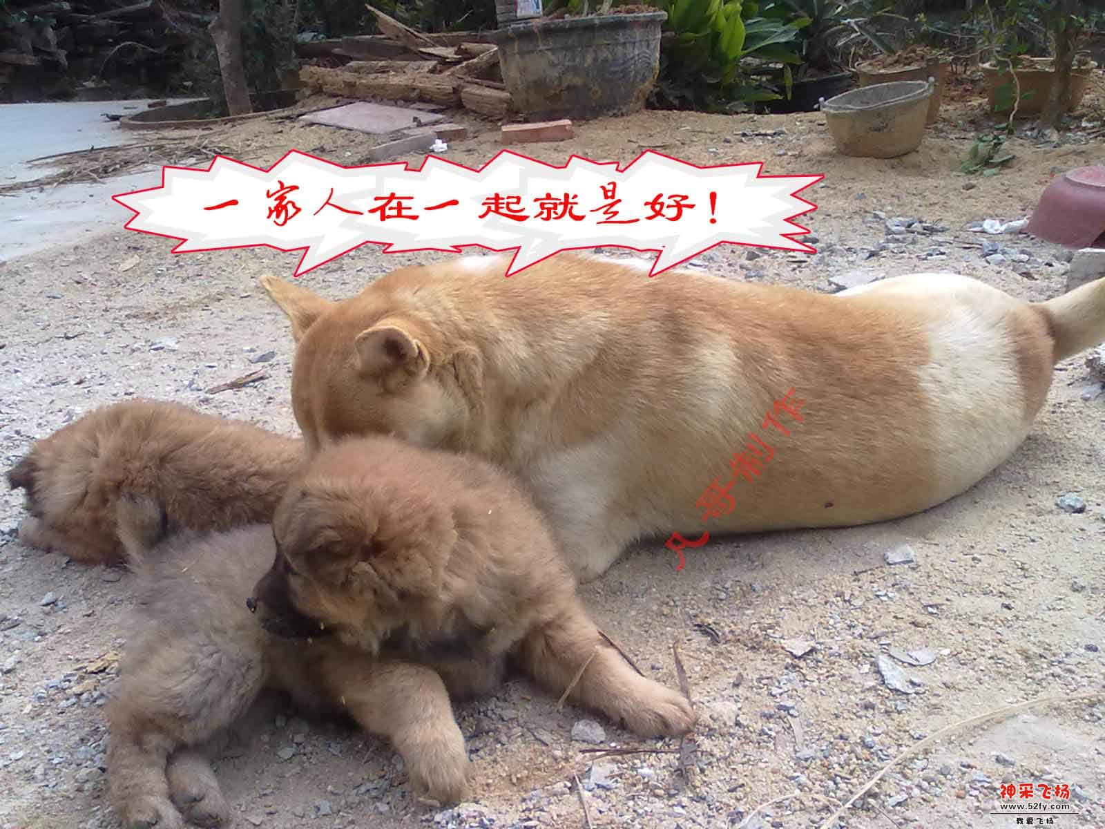 一家人在一起.jpg