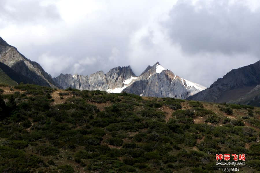 DSC02501_副本.jpg