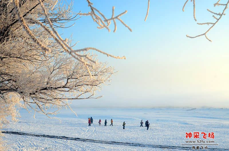 DSC_4099.jpg