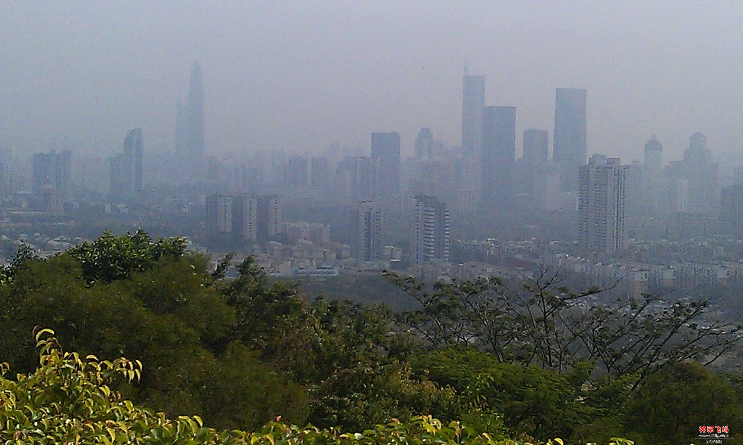 连花山2.jpg