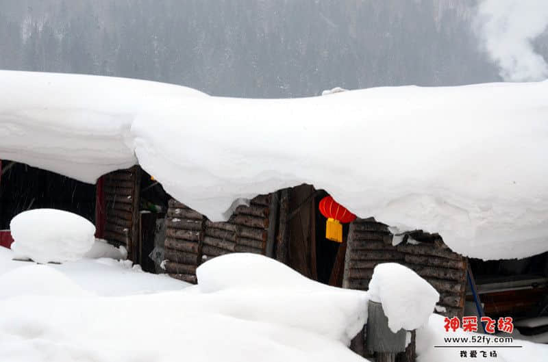 DSC_4206.jpg