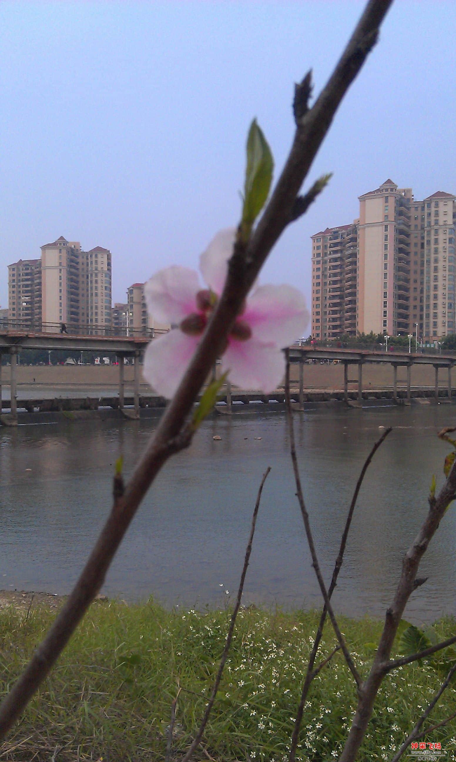 IMAG0014.jpg