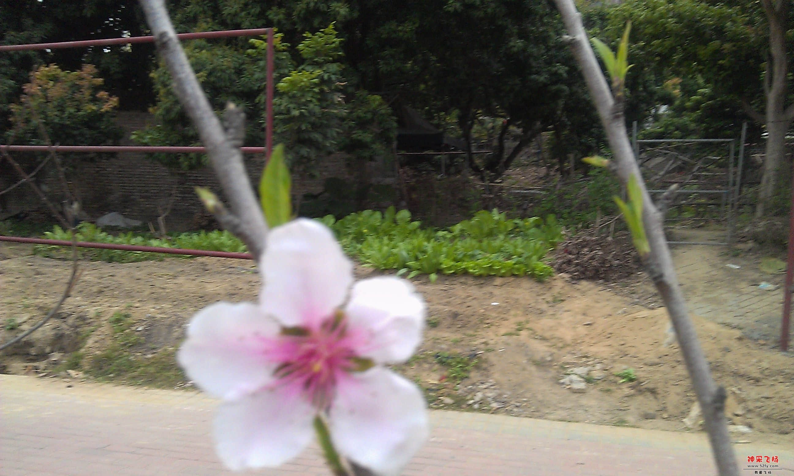IMAG0015.jpg