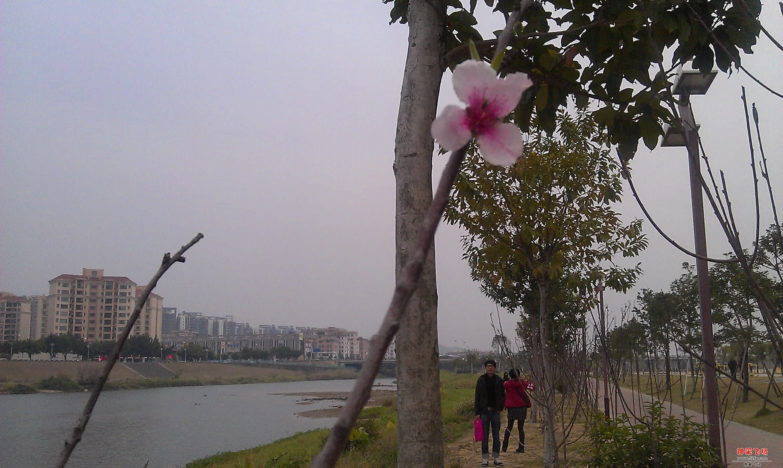 IMAG0016.jpg