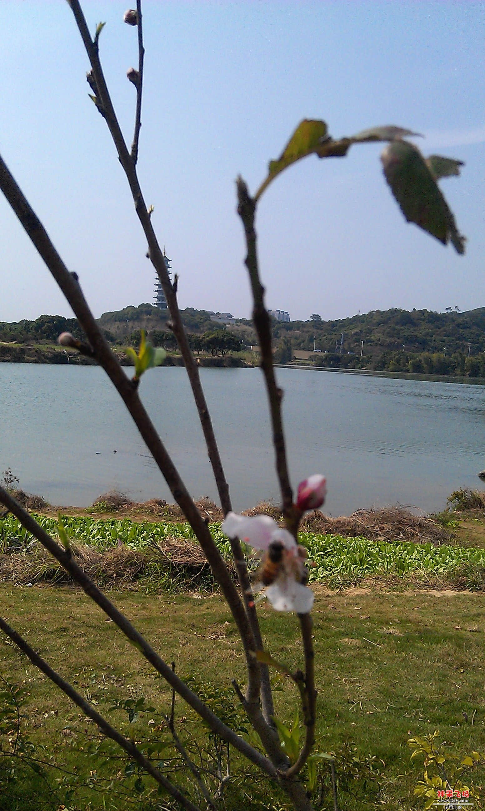 IMAG0009.jpg