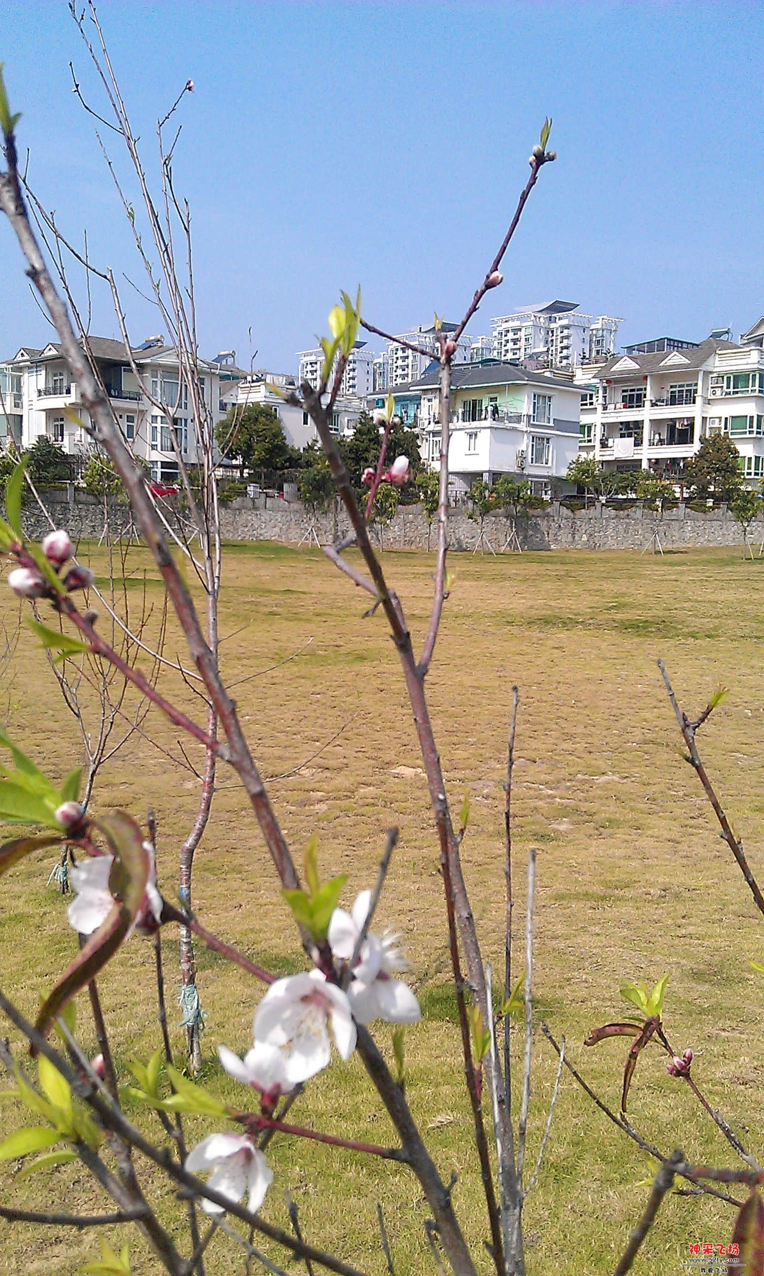 IMAG0011.jpg
