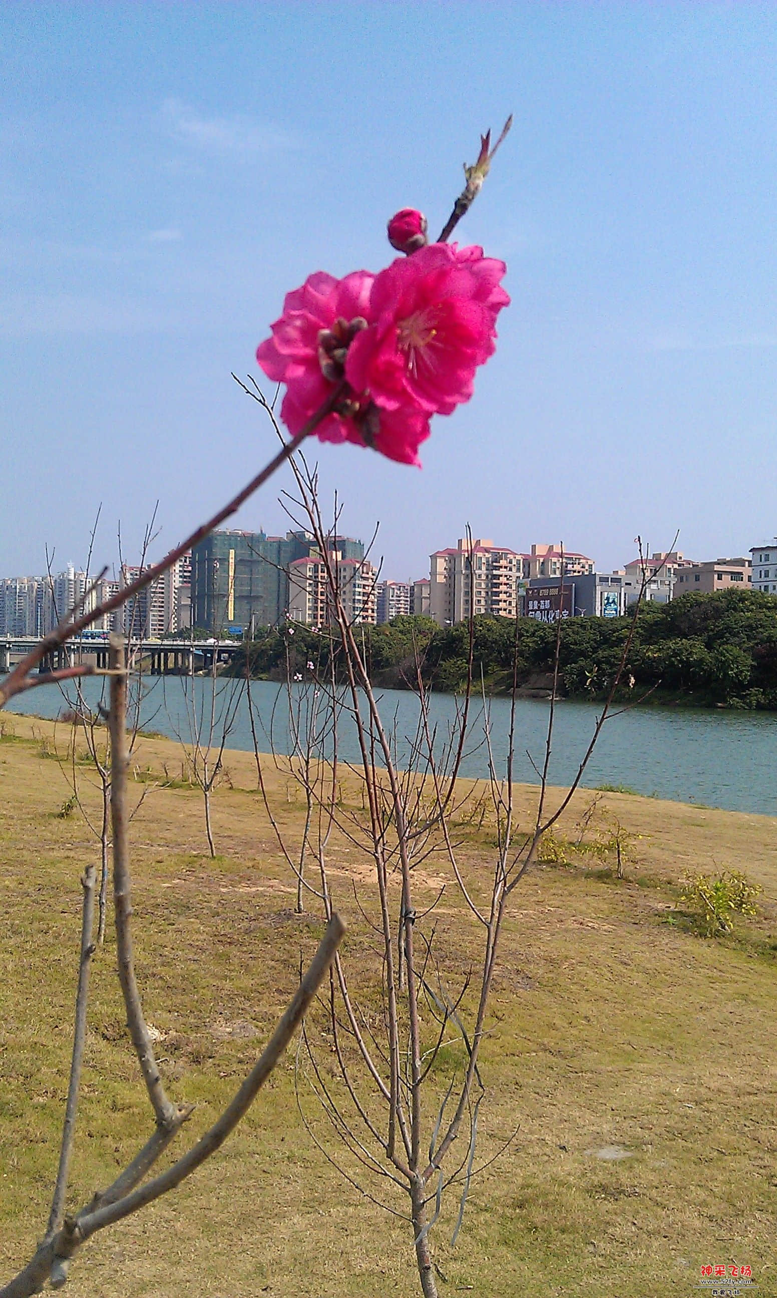 IMAG0016.jpg