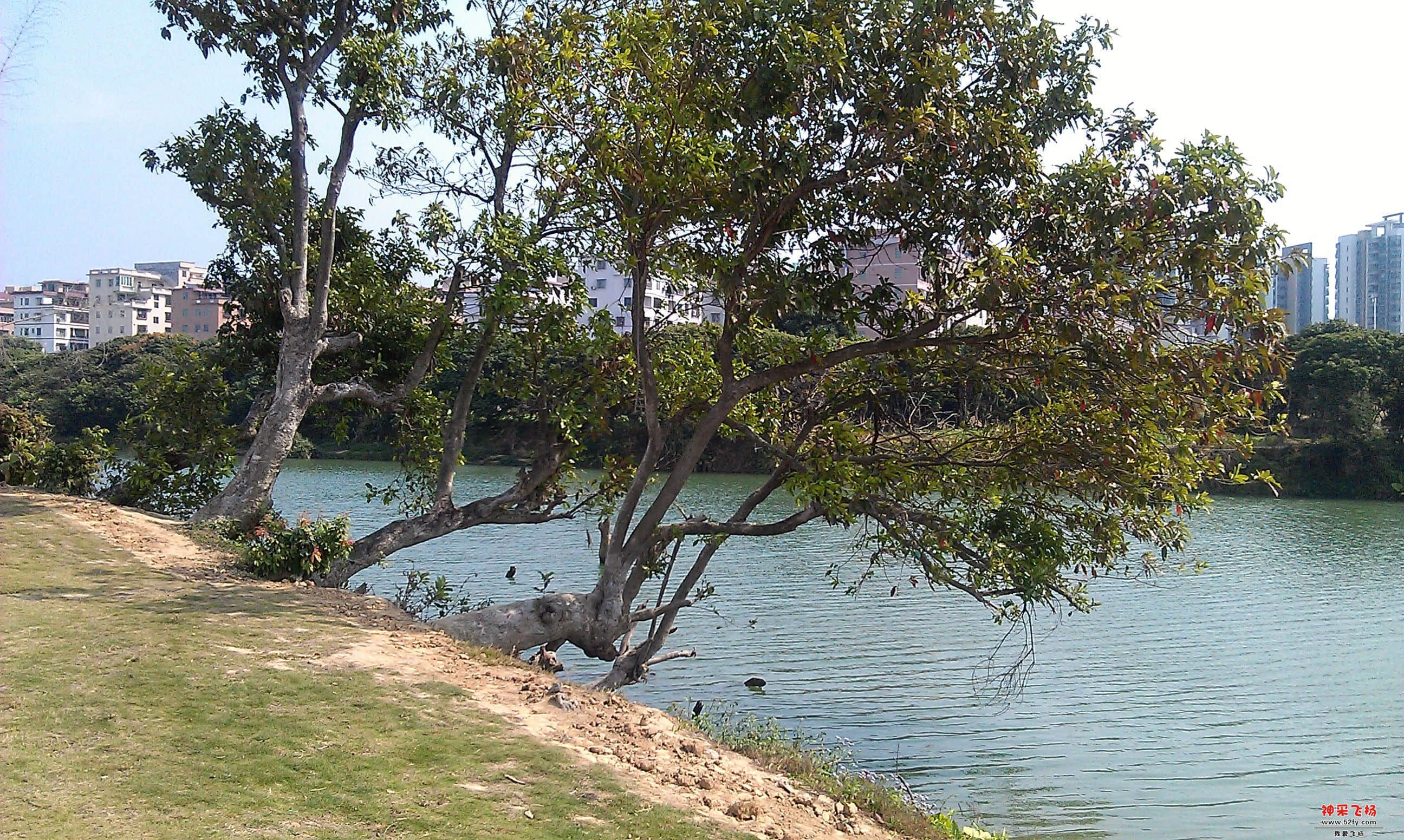 IMAG0021.jpg