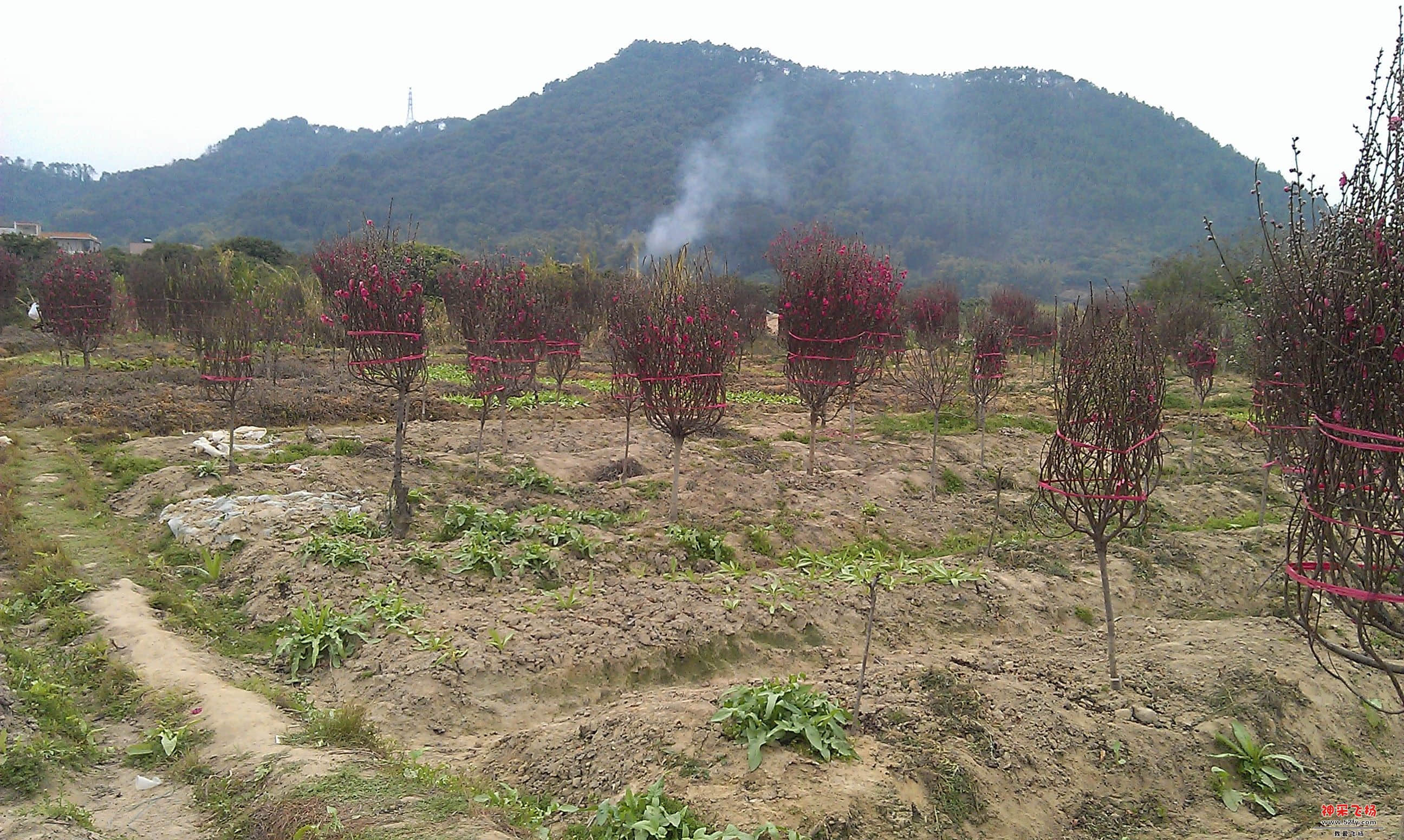 IMAG0012.jpg