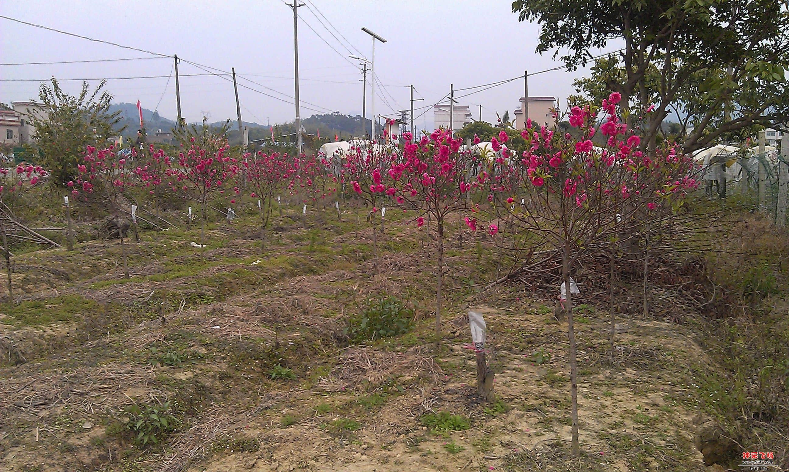 IMAG0021.jpg