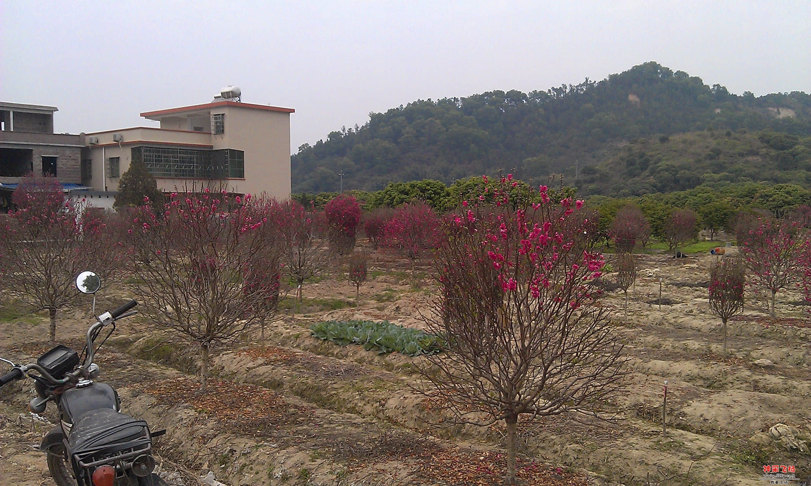 IMAG0024.jpg