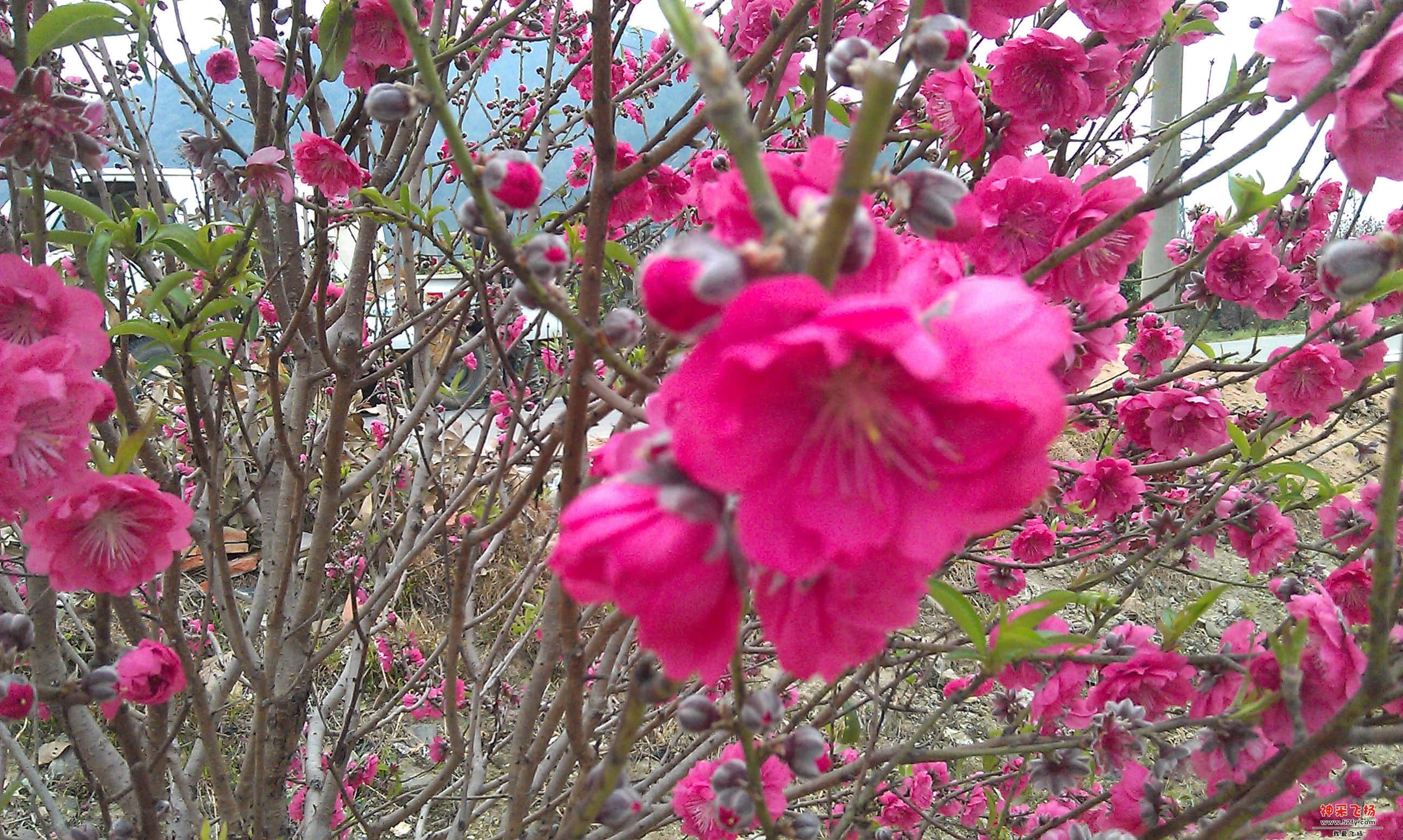 IMAG0027.jpg