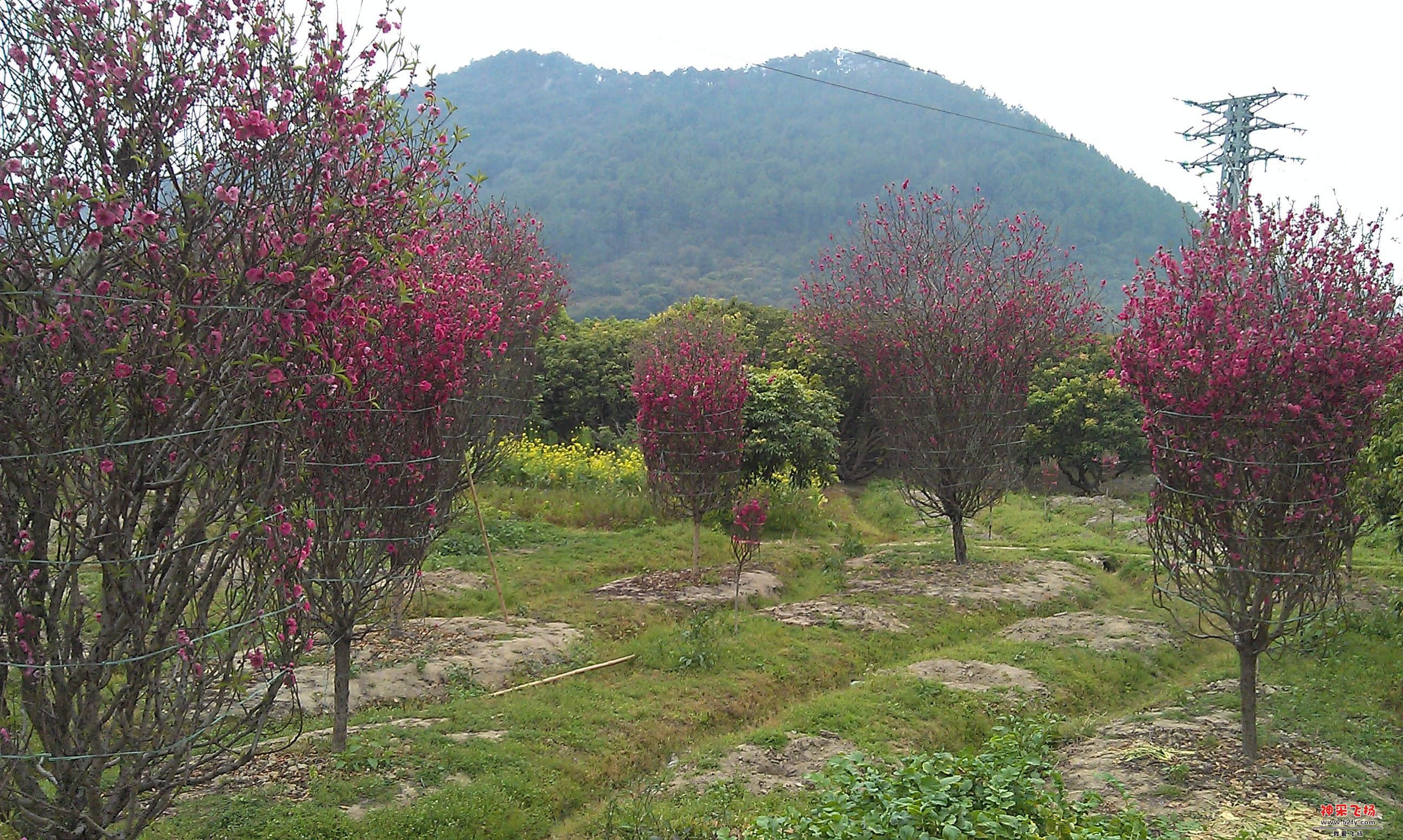 IMAG0028.jpg