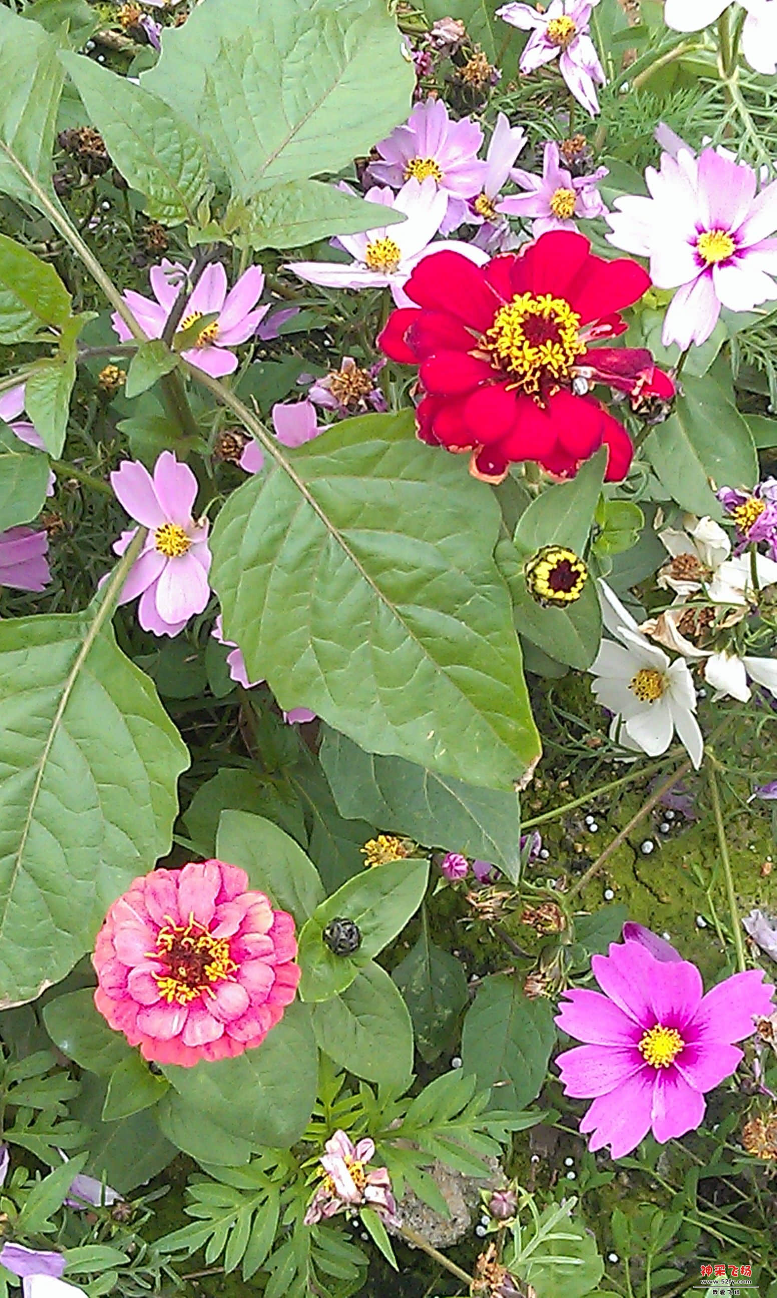 IMAG0067.jpg