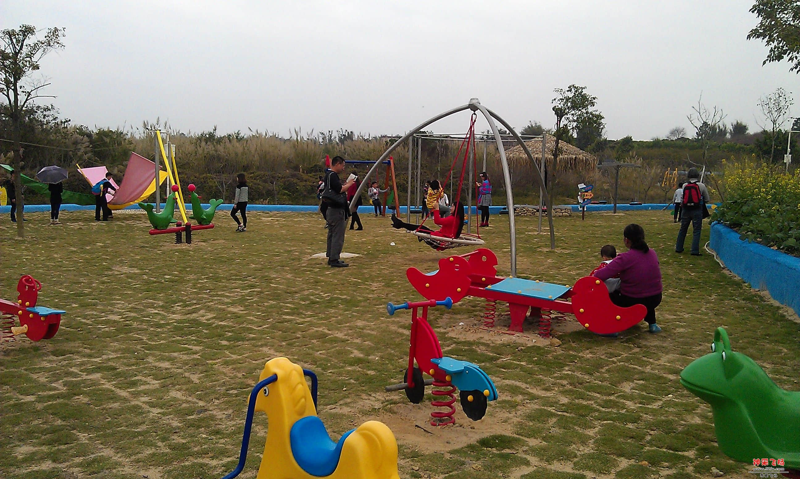 IMAG0069.jpg