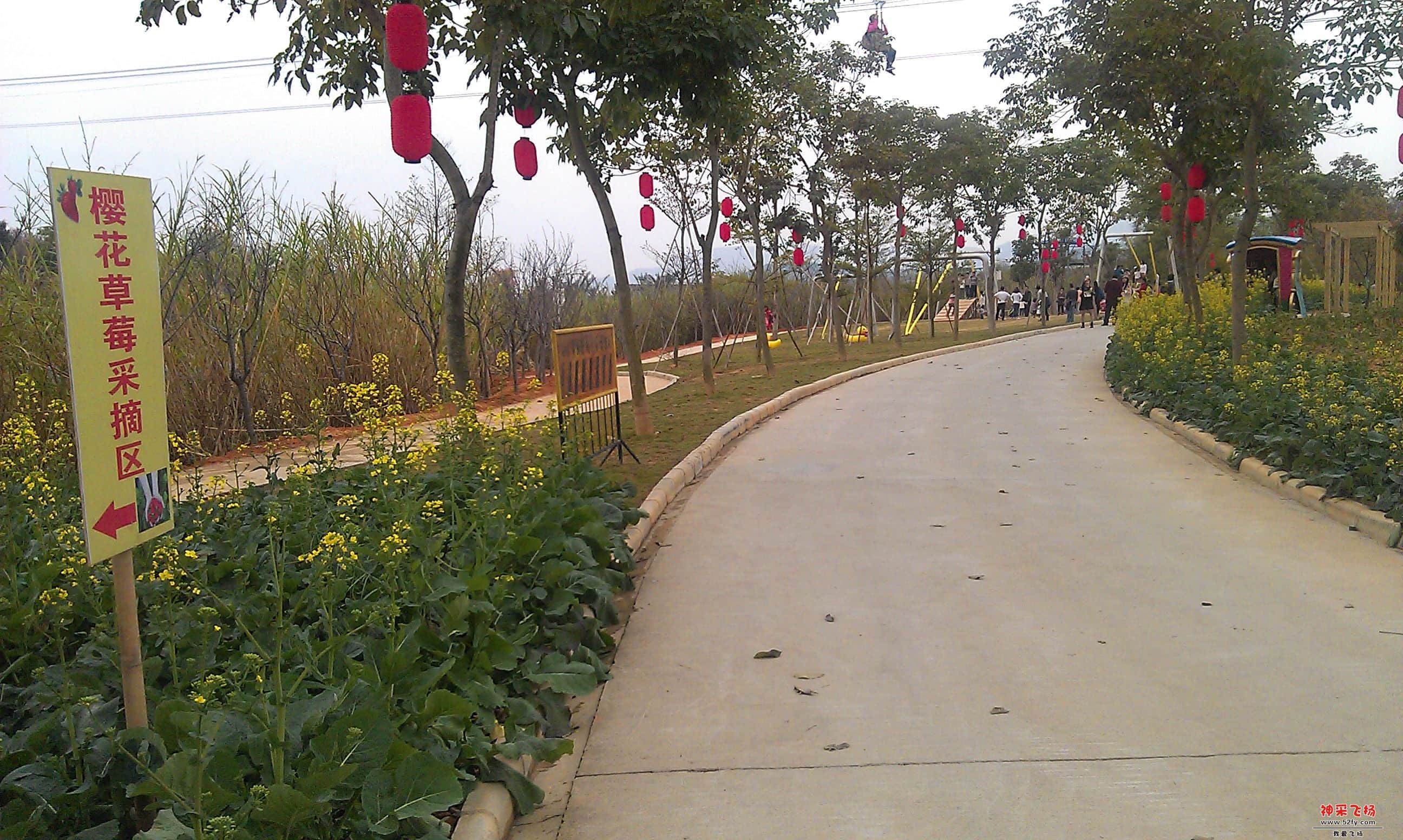 IMAG0070.jpg