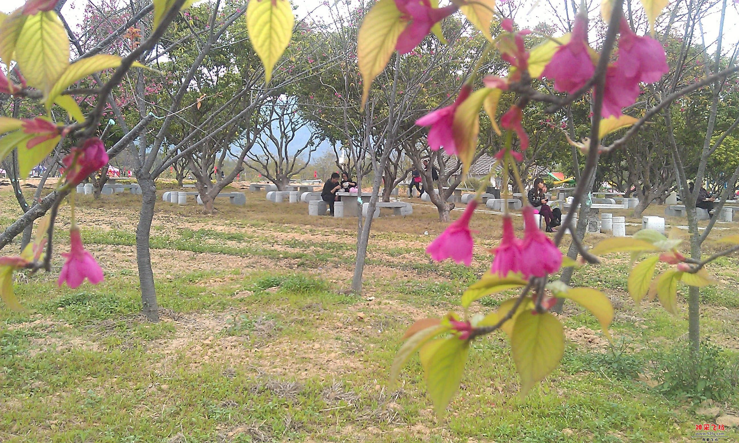 IMAG0075.jpg