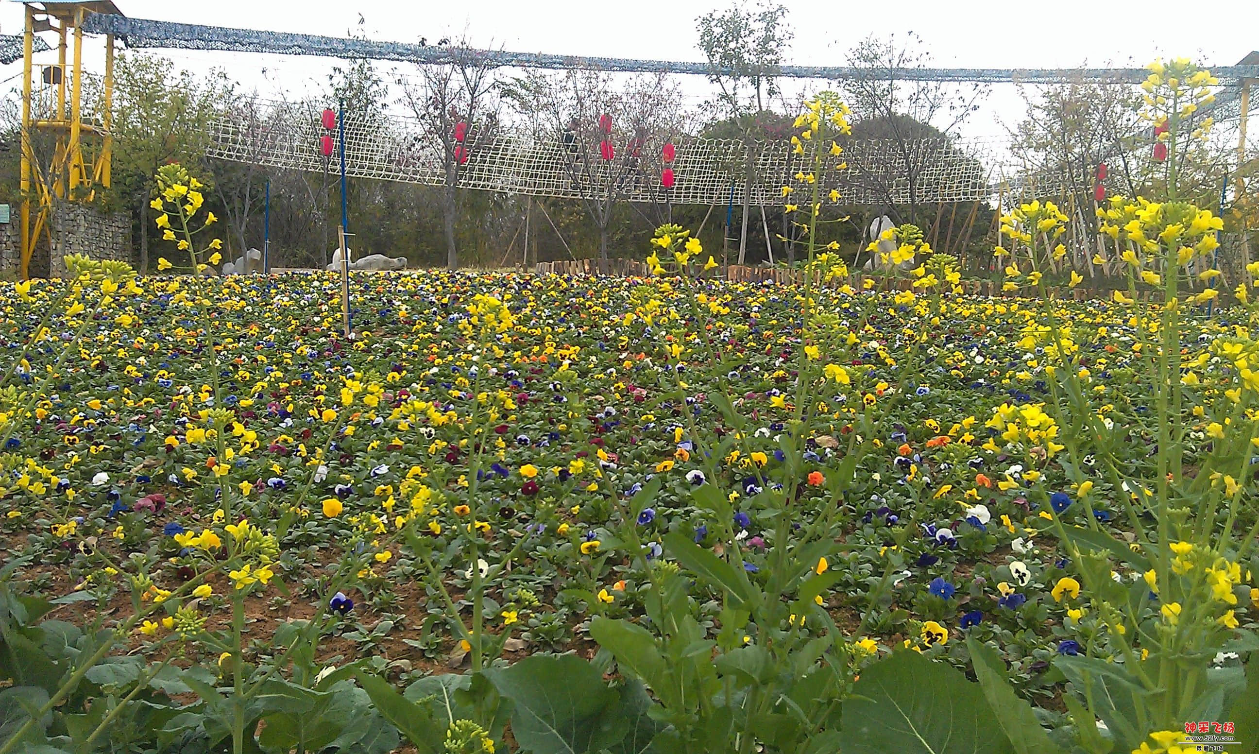 IMAG0083.jpg