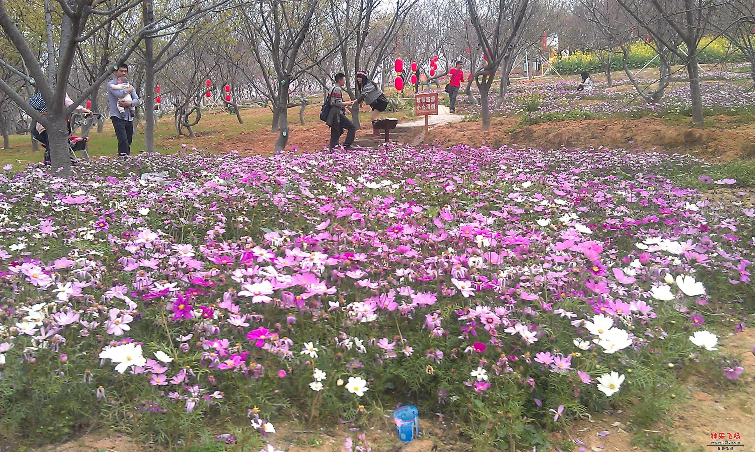 IMAG0092.jpg